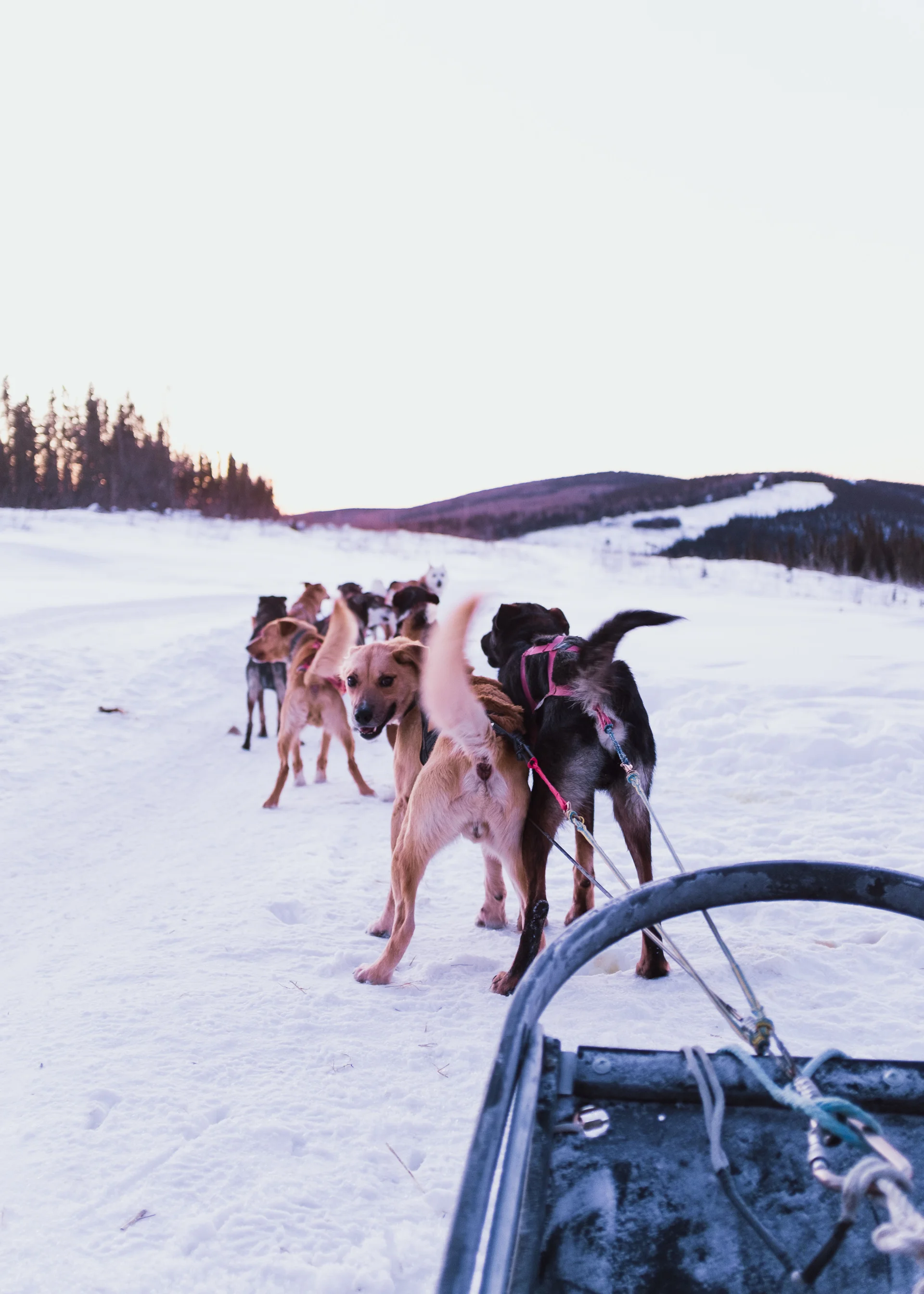 Alaska-5.jpg