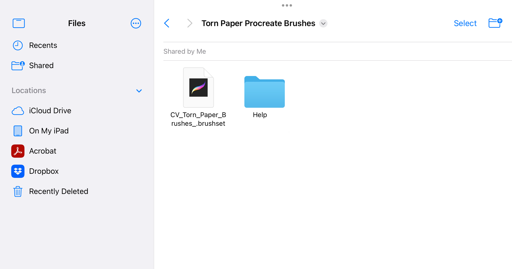 How to Install Procreate Brushes
