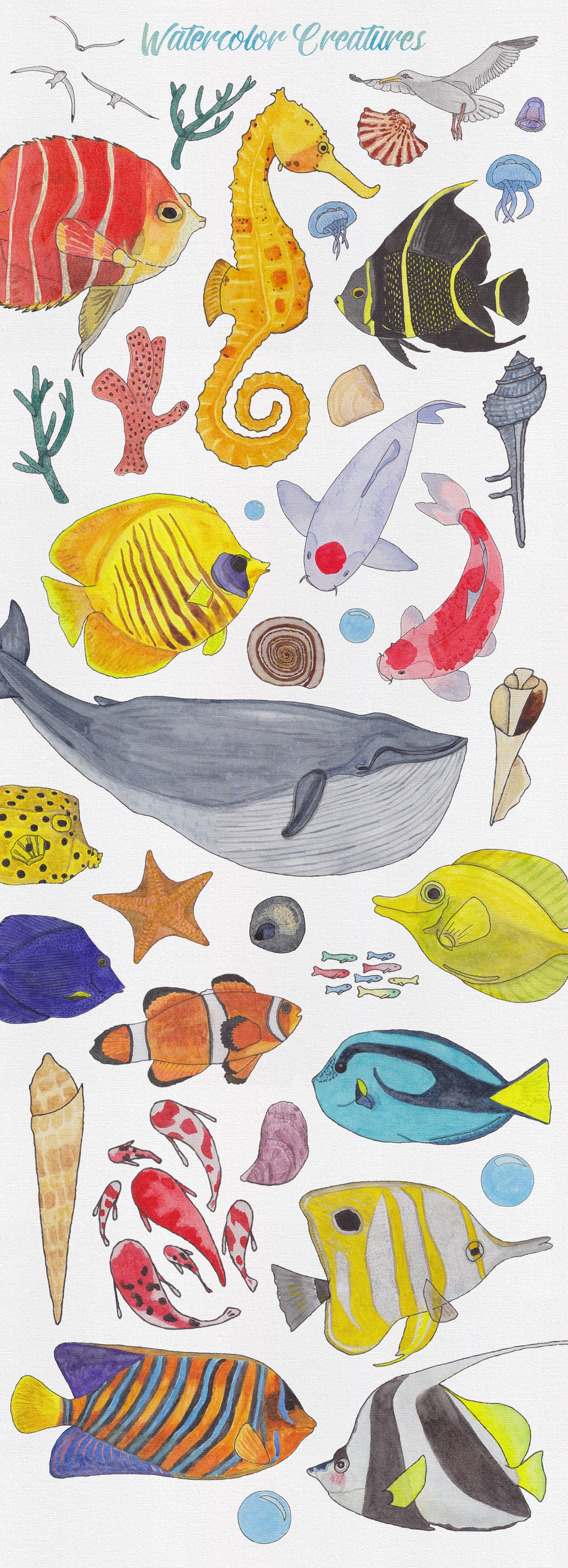 Watercolor Creatures vol.3