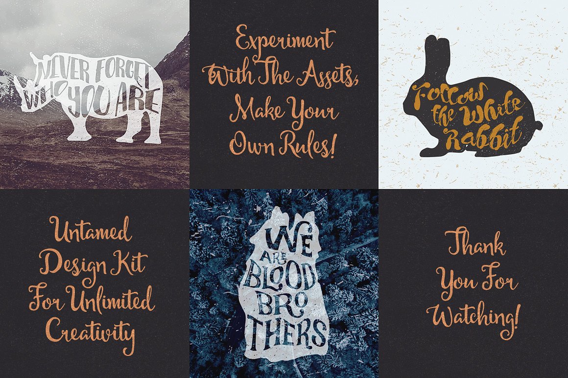 Untamed Graphic Design Kit