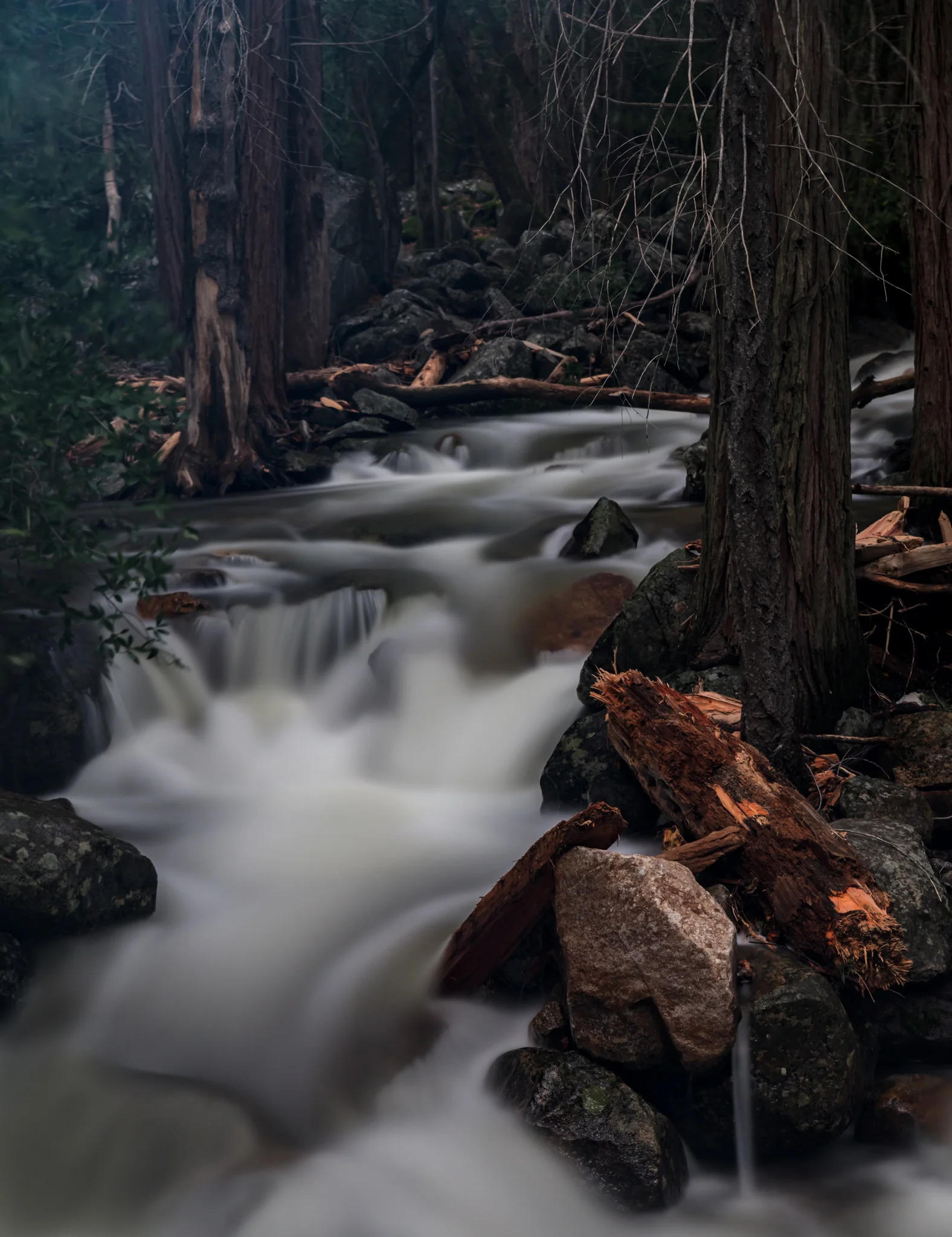 Bridalveil Creek Fairy Look-1.jpg