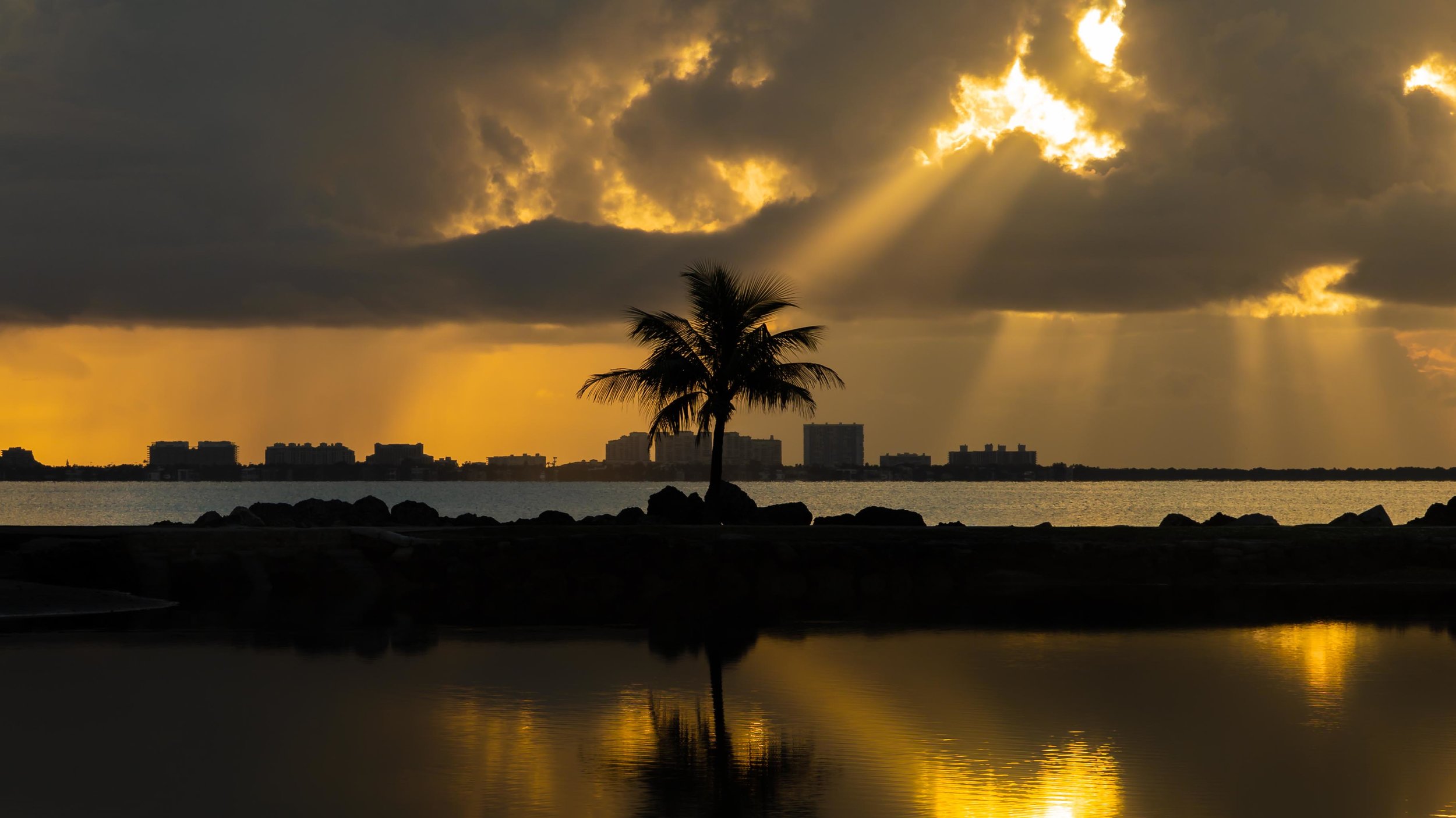 Sun rays