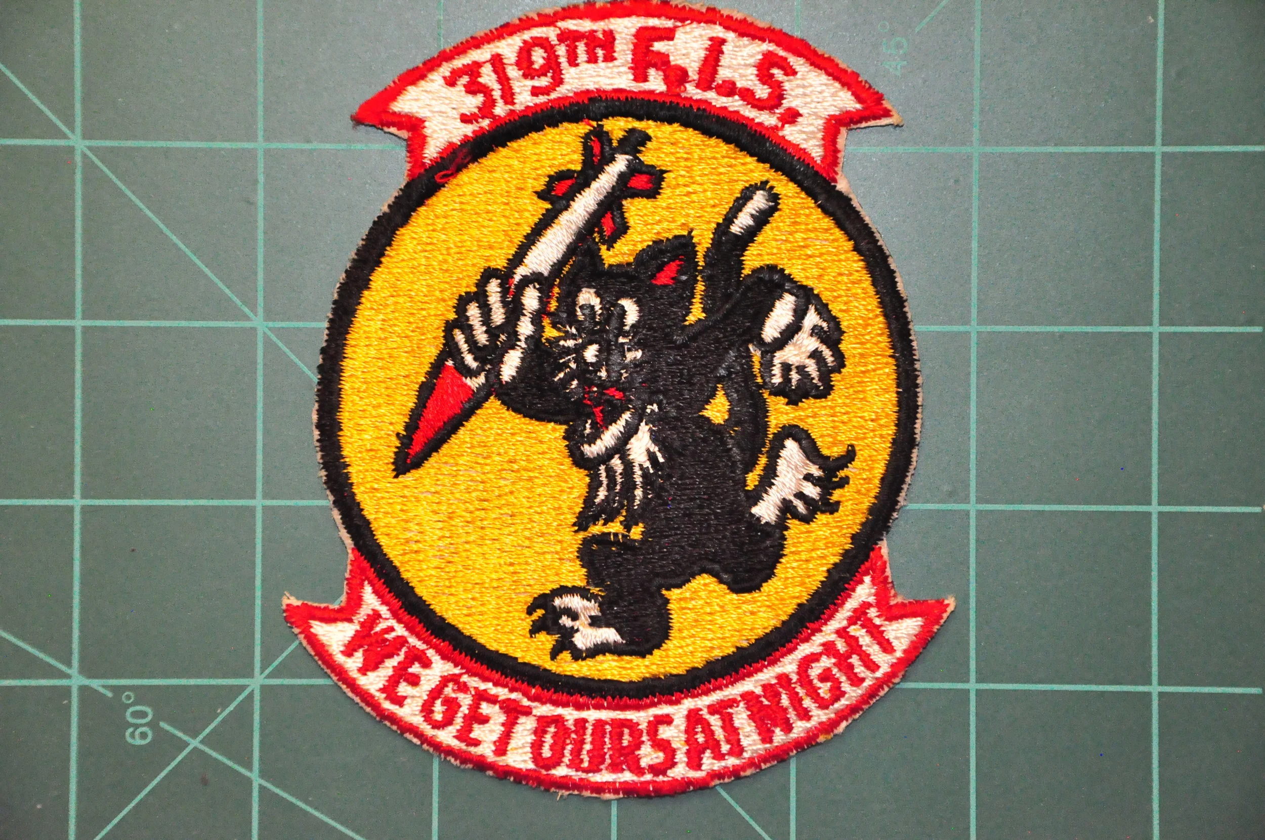 319th FIS