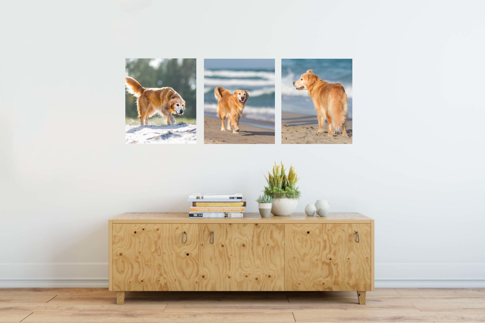 Toronto-Dog-Photographer-Wall-Art-Gallery.png