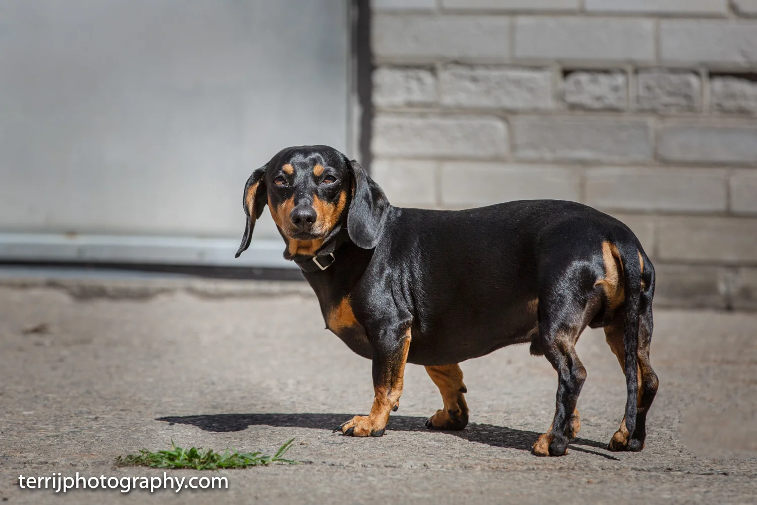 NOTICE THE HARSH LIGHT AND STRONG SHADOWS IN THIS IMAGE.