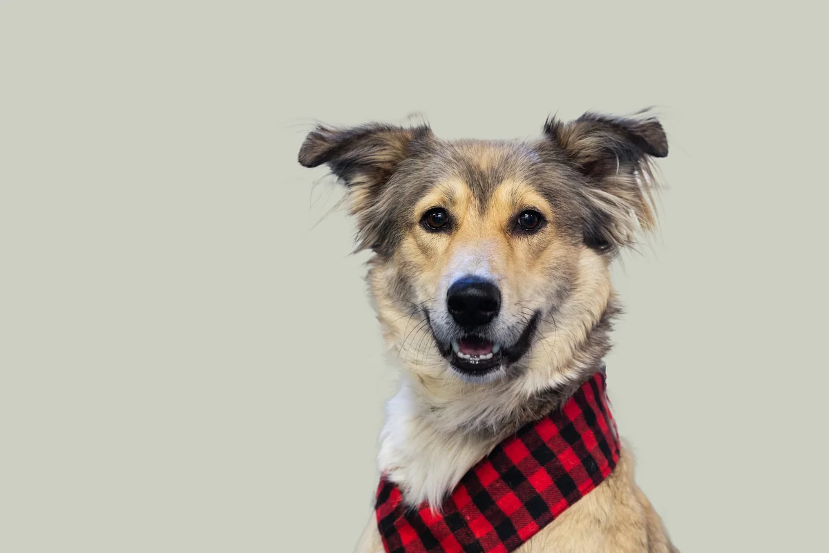 THE RED SCARF ADDS A LOVELY POP OF COLOUR TO AN OTHERWISE NEUTRAL PICTURE