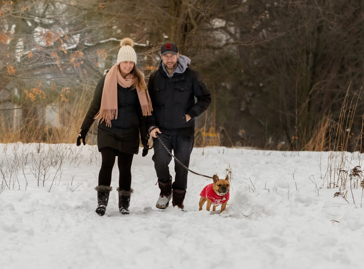French-Boxer-dog-Toronto-Snow-Photography.jpg