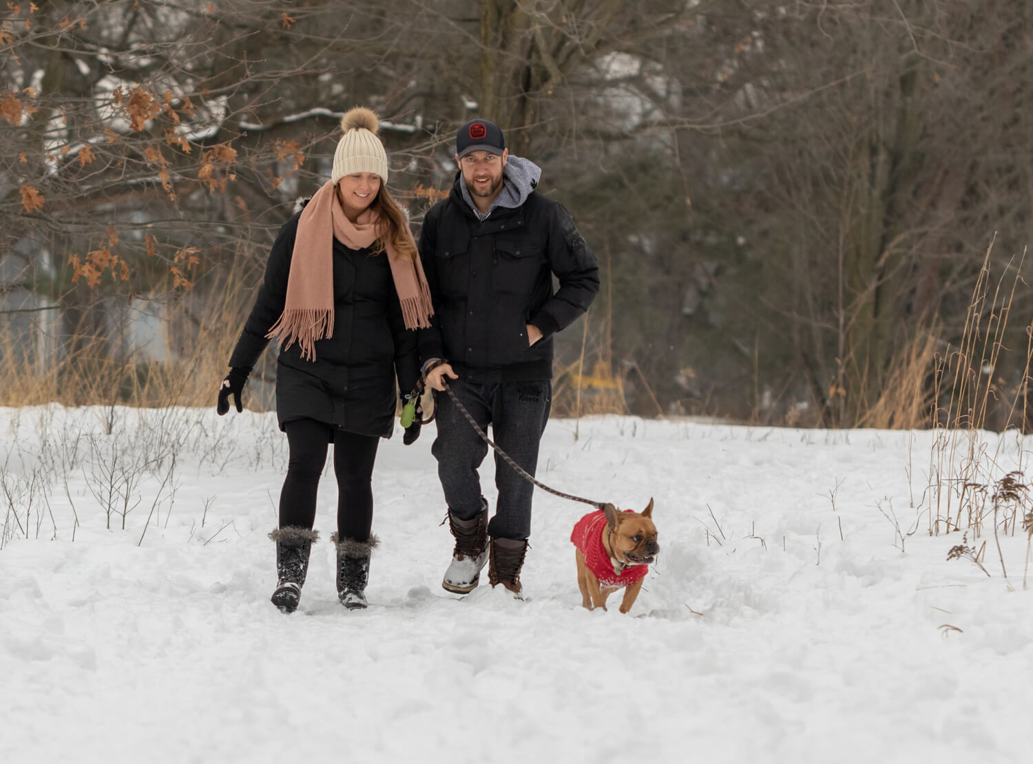 French-Boxer-dog-Toronto-Snow-Photography-2.jpg