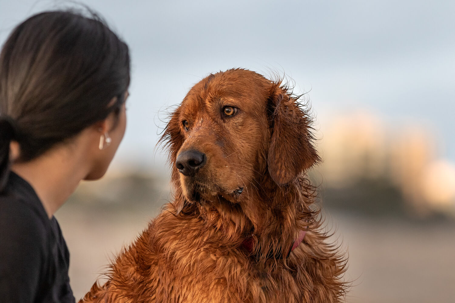 Dog-and-People-Photography-Boca-Raton.jpg