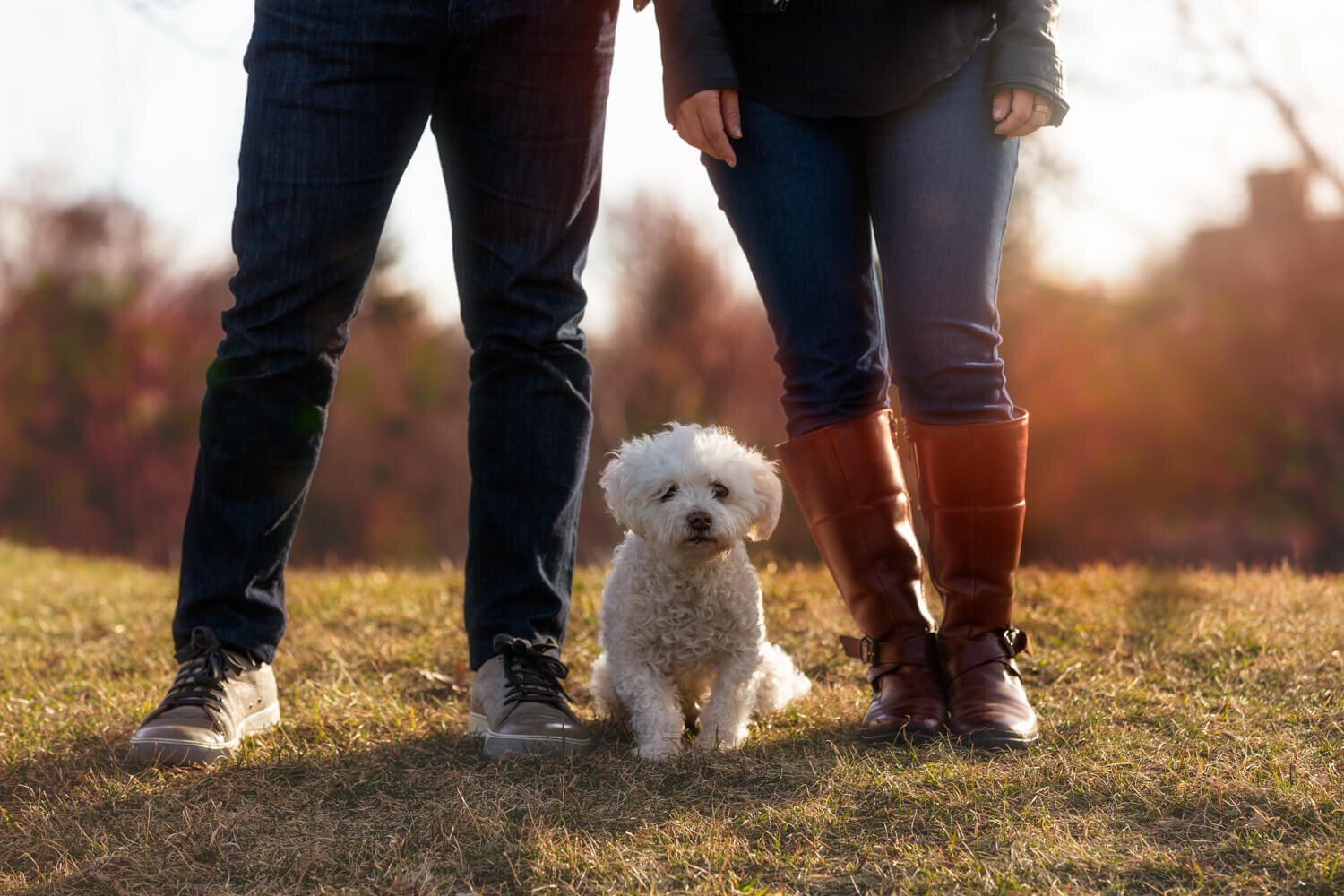 Toronto Fall pet and family photography