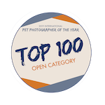 Top100Badge-open.png