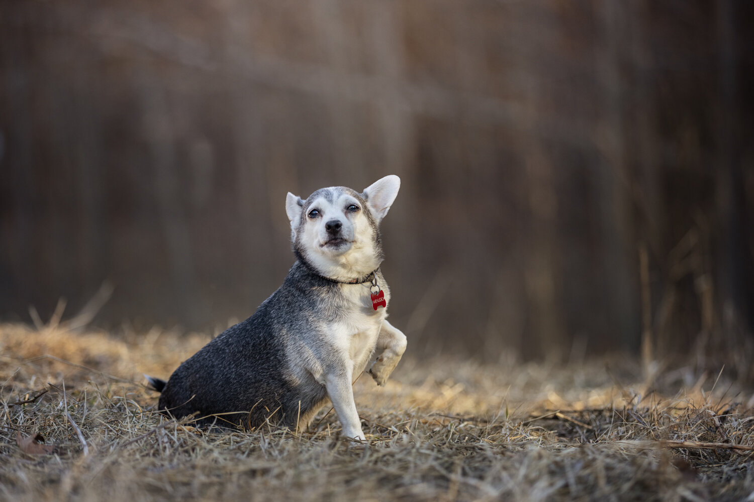 Menudo posing for his photo session.