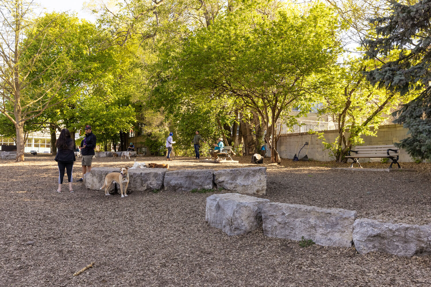 Sandy Bruce Dog park