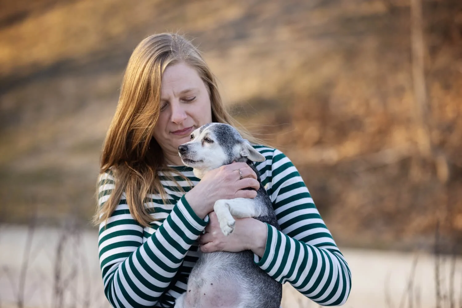 What happens at an end of life dog photography session?