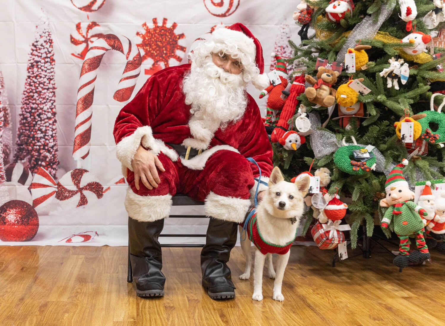 dog-with-Santa-photo-event