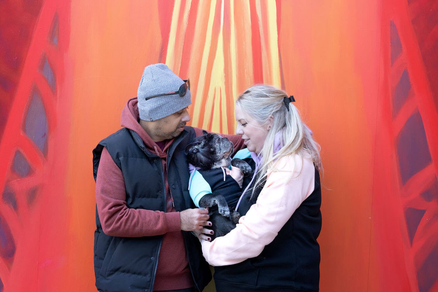 doe photo shoot in front of a coloured wall in toronto