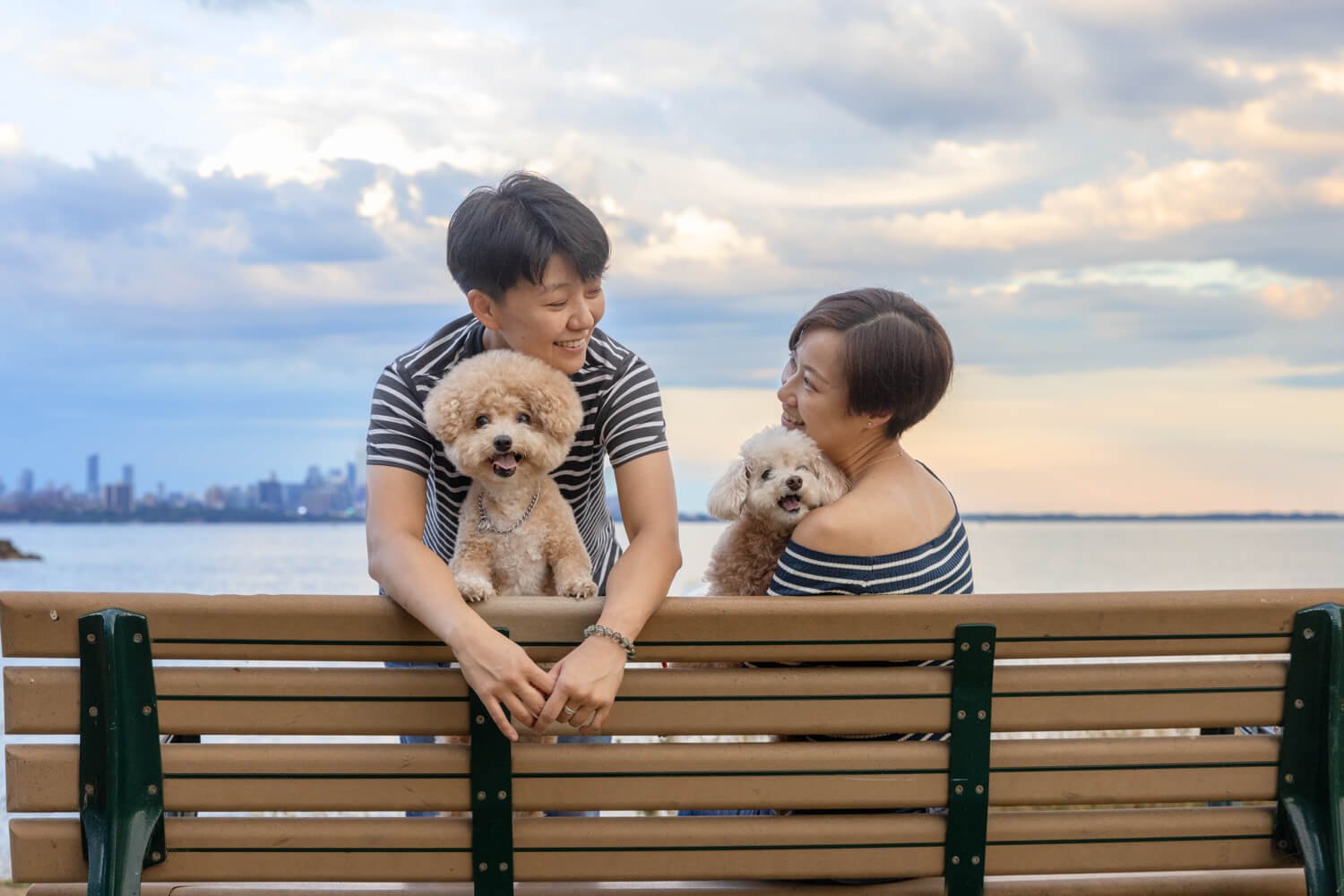 Family photos with dogs in Toronto
