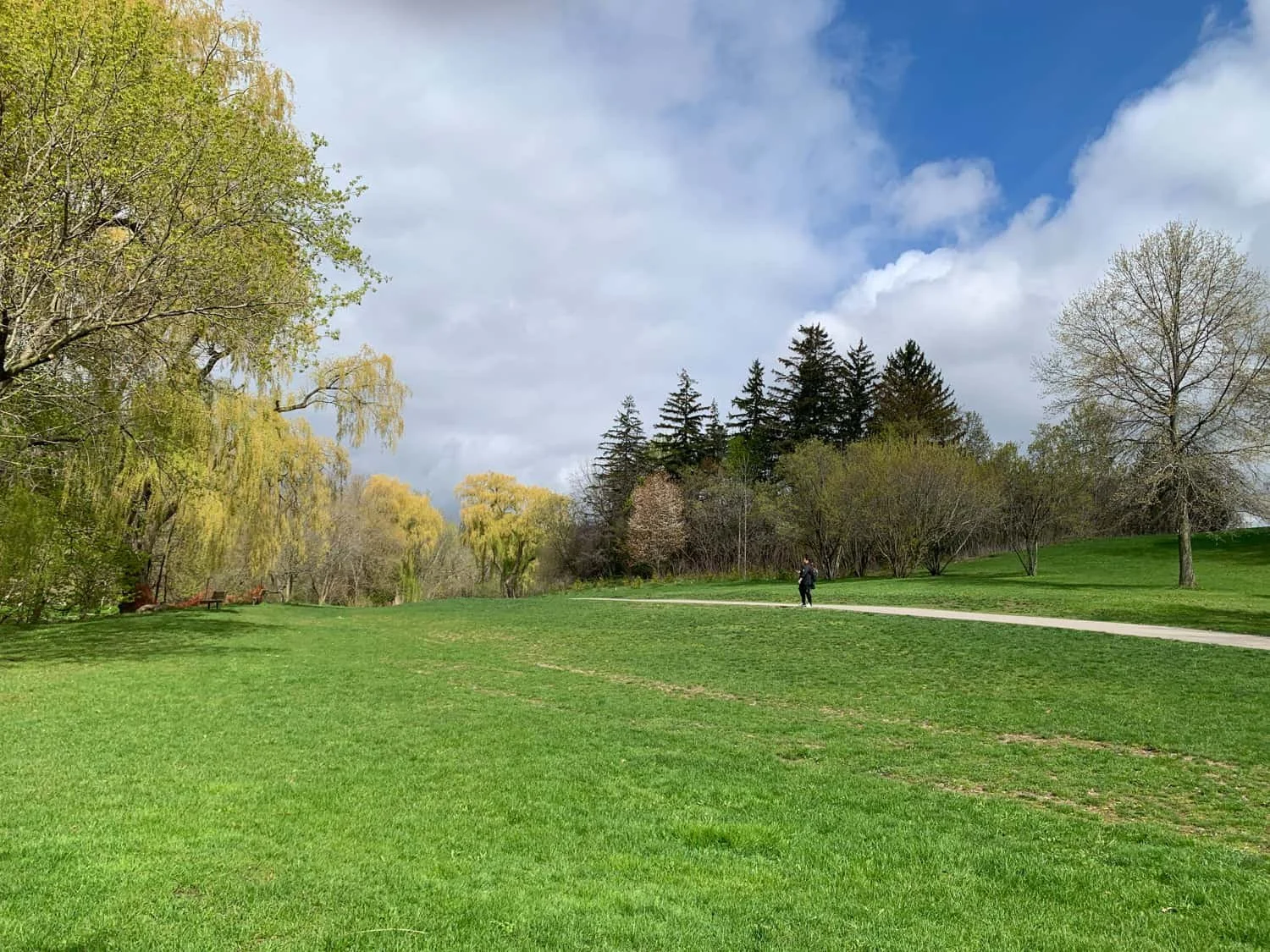 I found a great location for pet photography in North York