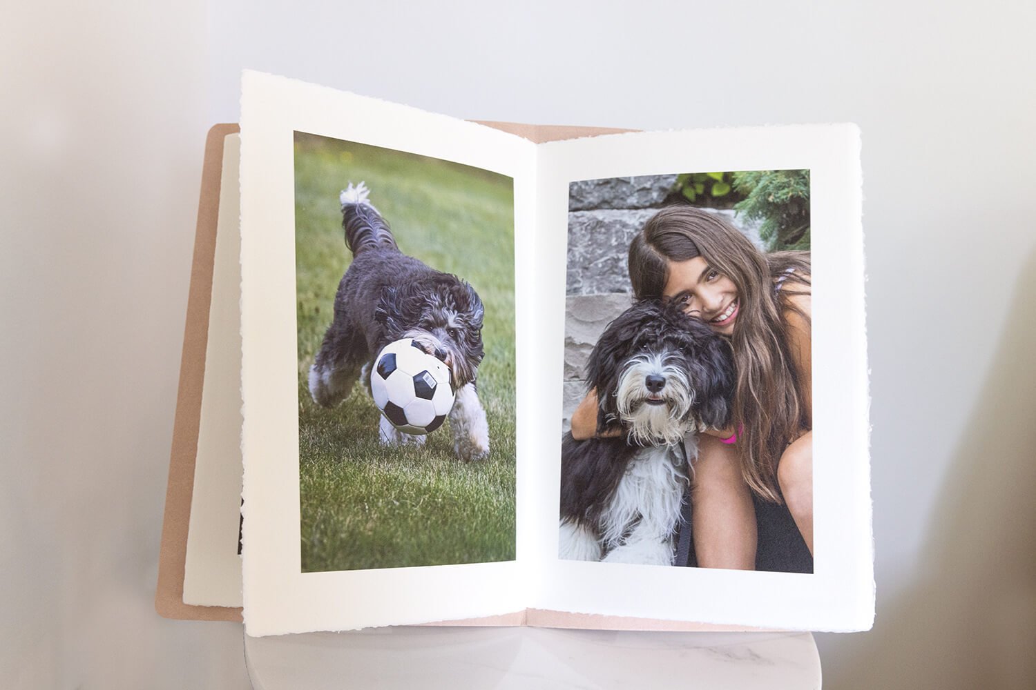 Ideas for displaying your pet and family photos