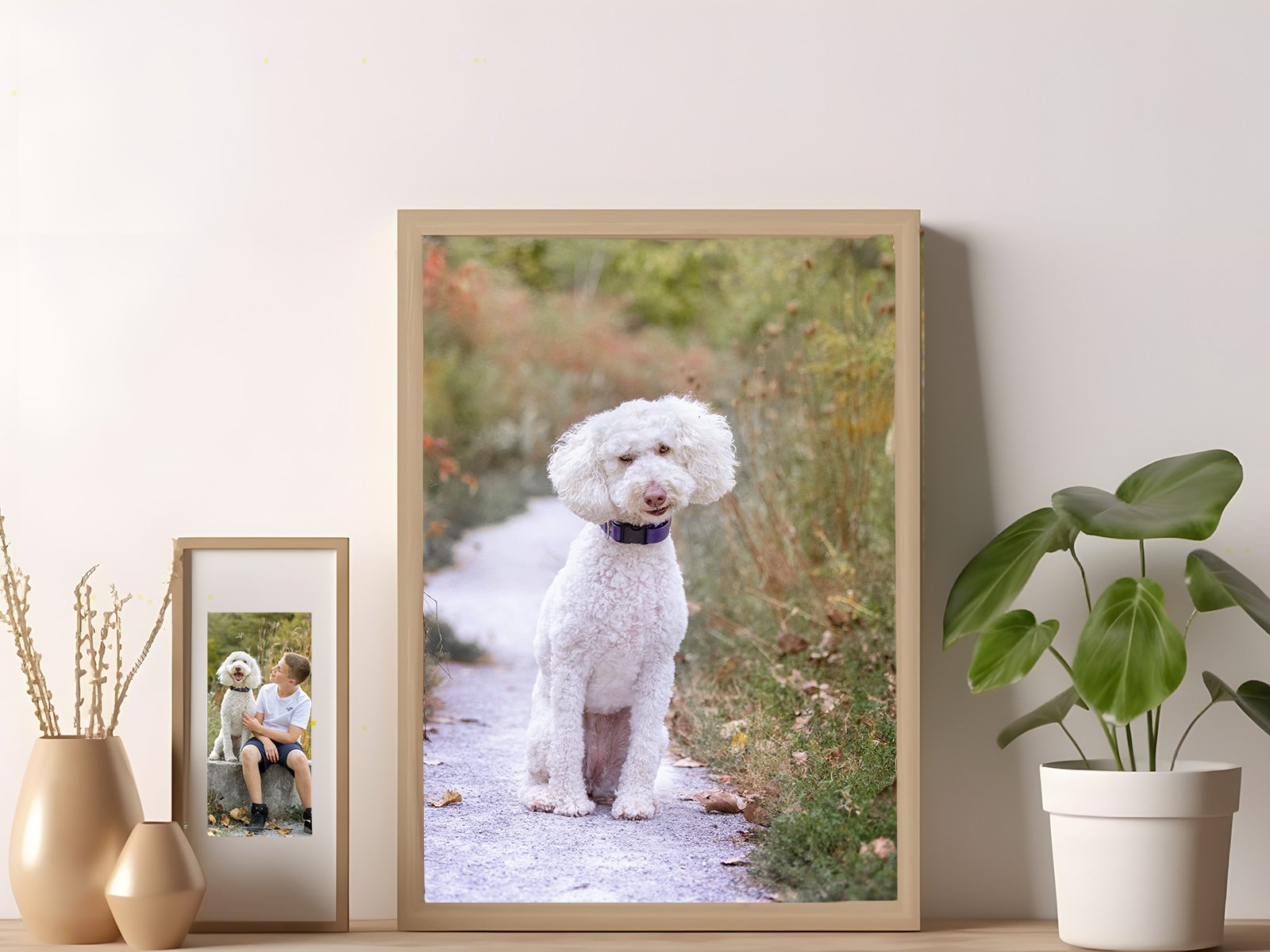 SMALLER FRAMED PET PHOTOS DISPLAYED ON A SHELF OR TABLE