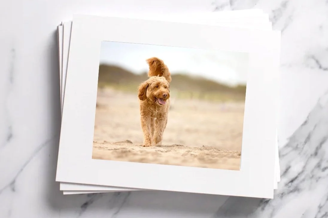 Matted prints (Copy)