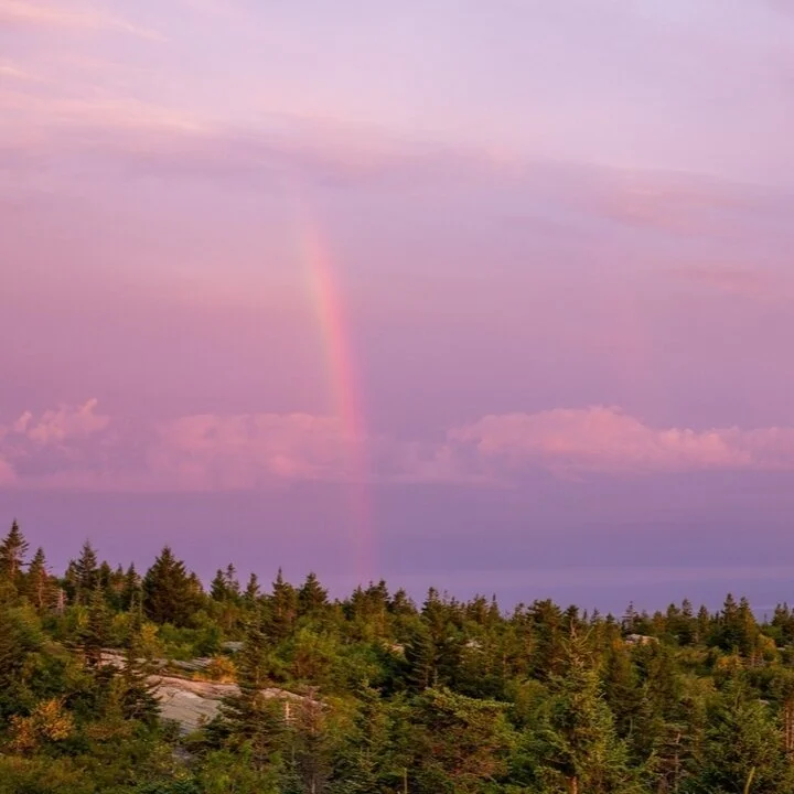 Love unfolds in every moment &ndash; here's to the beginning of your forever. 💍🎉 #WeddingDayMagic
⁣.
.
. 

#weddingphotographer #engagementphotography #ido #shesaidyes #travelphotographer #connecticutweddings #shorelinephotographer #familyphotograp