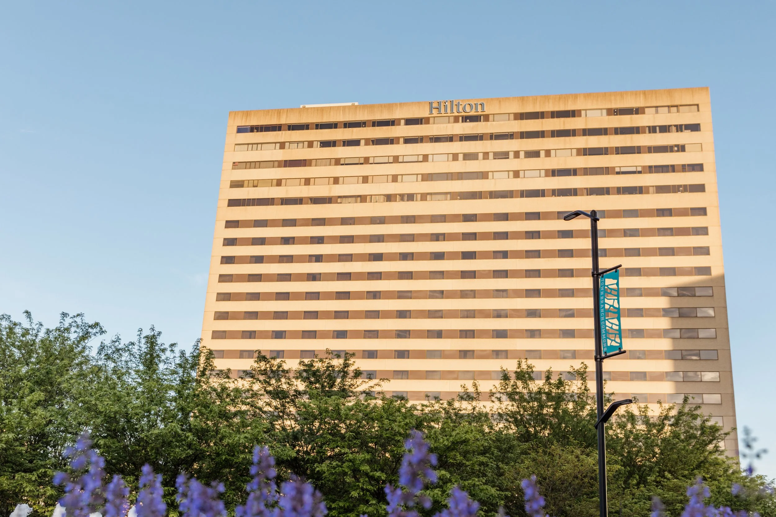 Hilton hotel building with many windows, trees and purple flowers in the foreground, clear blue sky in the background.