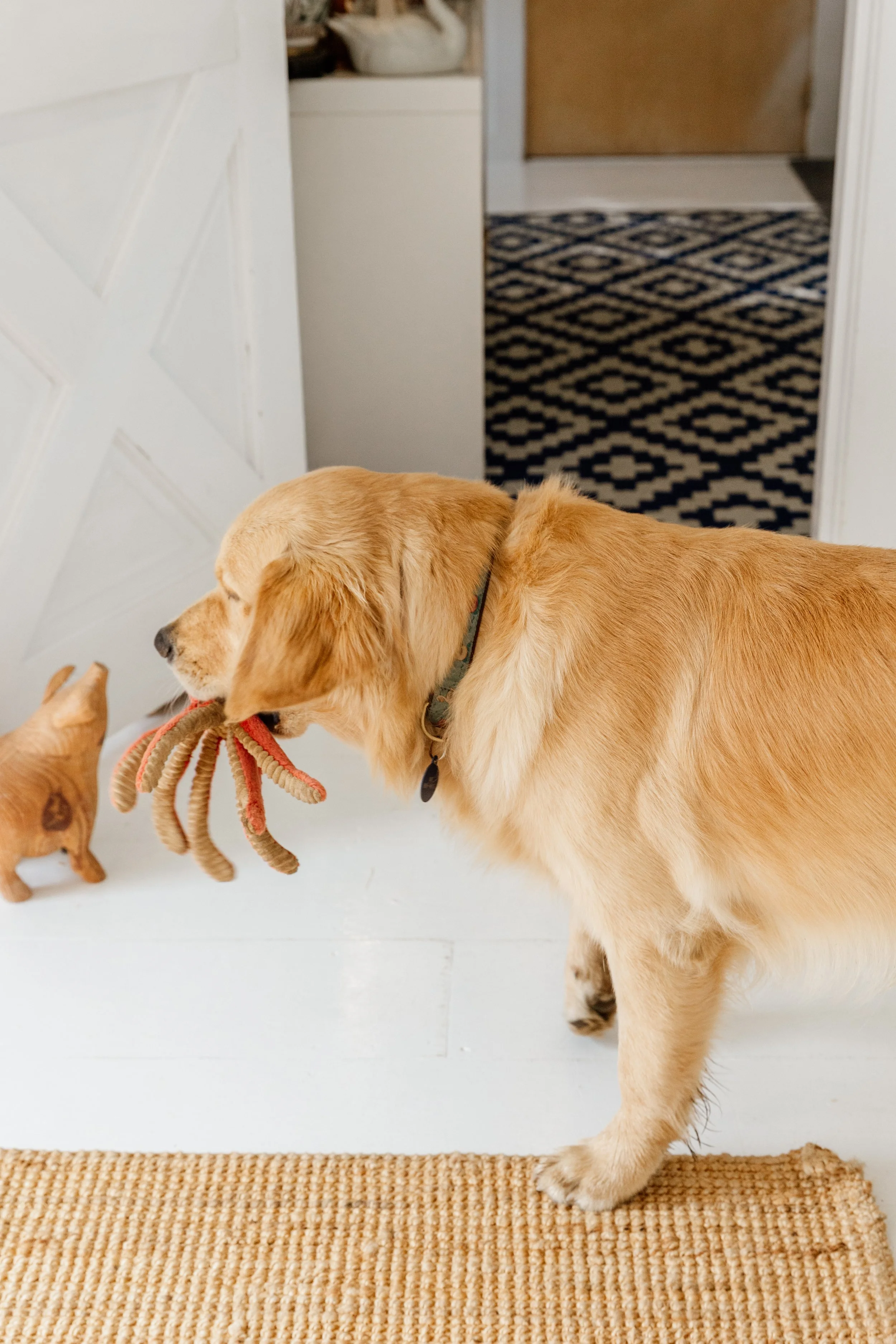 A golden retriever dog holding a stuffed toy in its mouth, standing indoors near a white door and a small cat figurine on the floor.