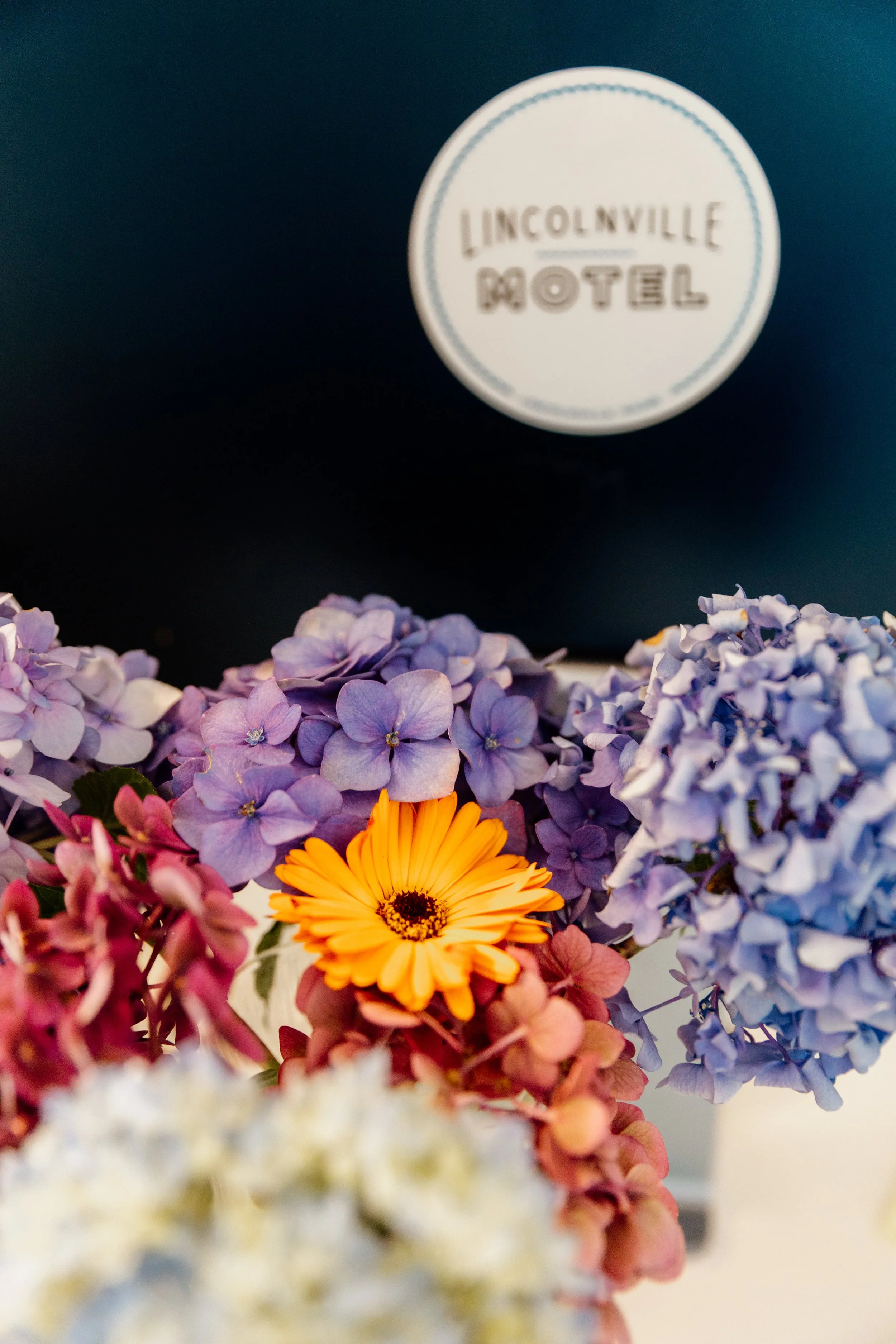 Colorful flowers with purple hydrangeas, a yellow-orange daisy, and pink flowers in the foreground. A dark hotel box with the logo "Lincolnville Motel" on it is in the background.