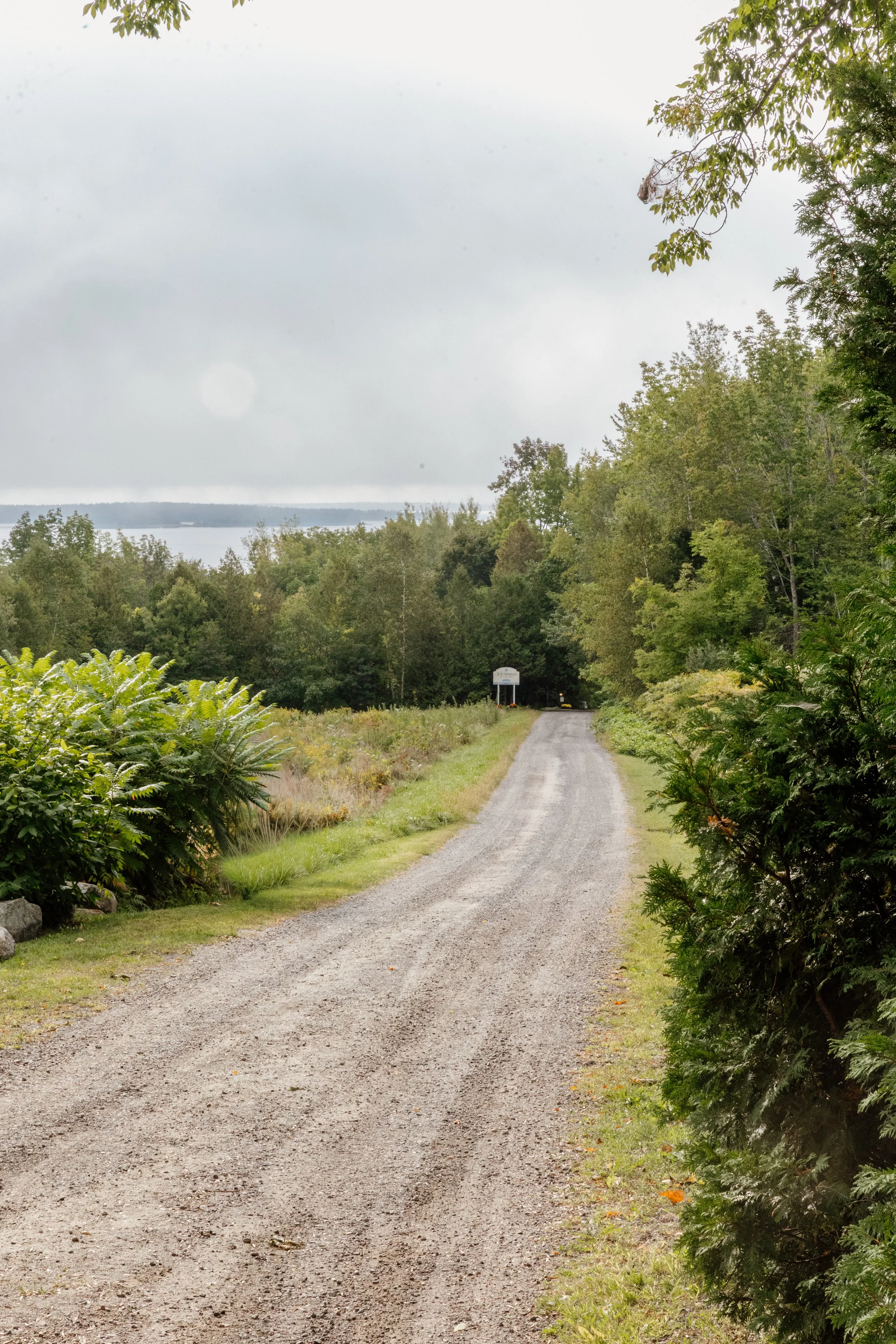 A gravel road winding through a green, forested area on a cloudy day, with trees and shrubs on both sides.