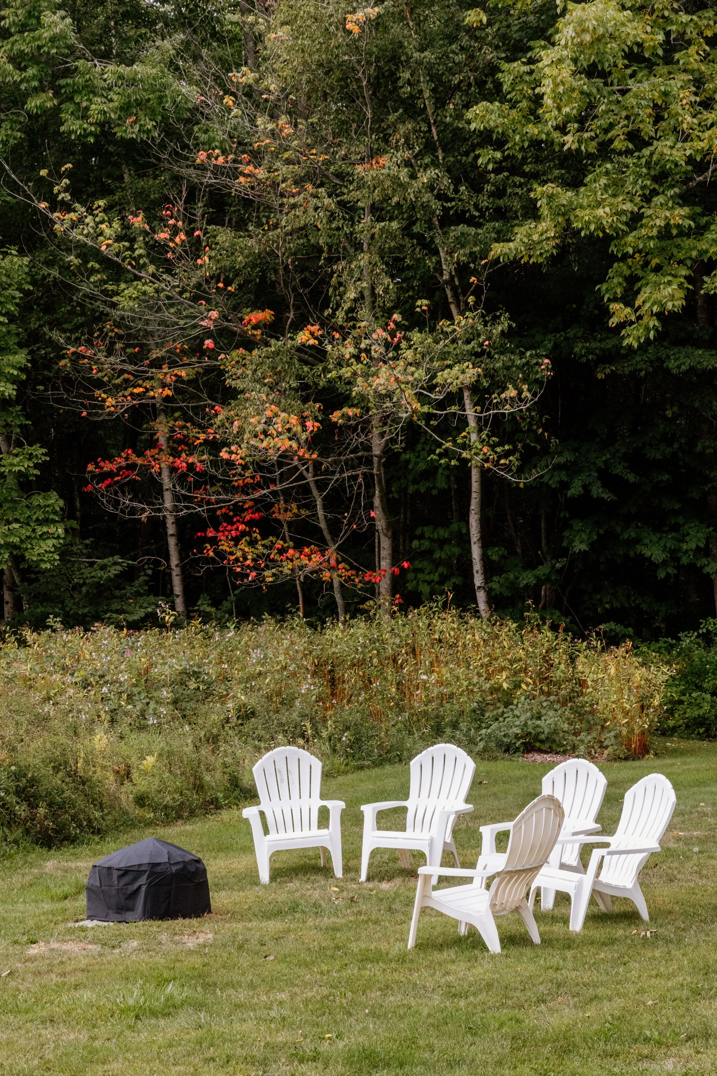 Six white plastic lawn chairs arranged around a black covered object in a grassy backyard with trees and bushes in the background.