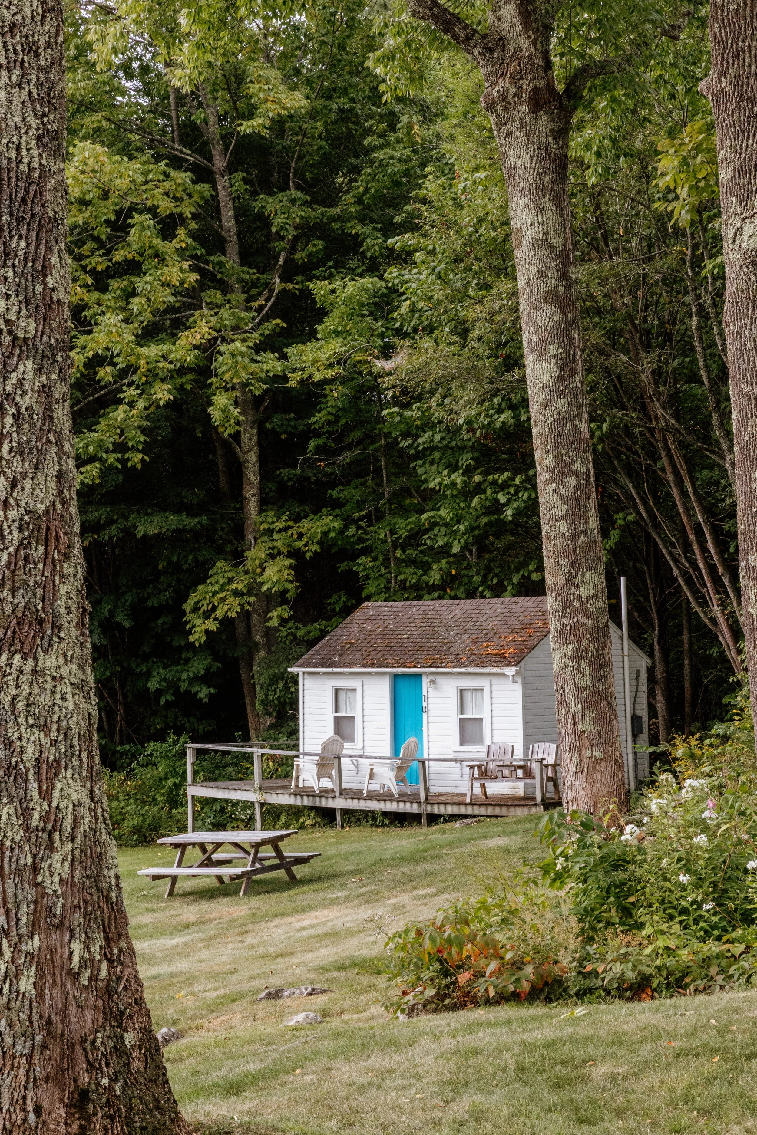 Small white cottage with a blue door, situated among large trees with a wooden deck and chairs. A picnic table is in the grassy yard in front of the house.