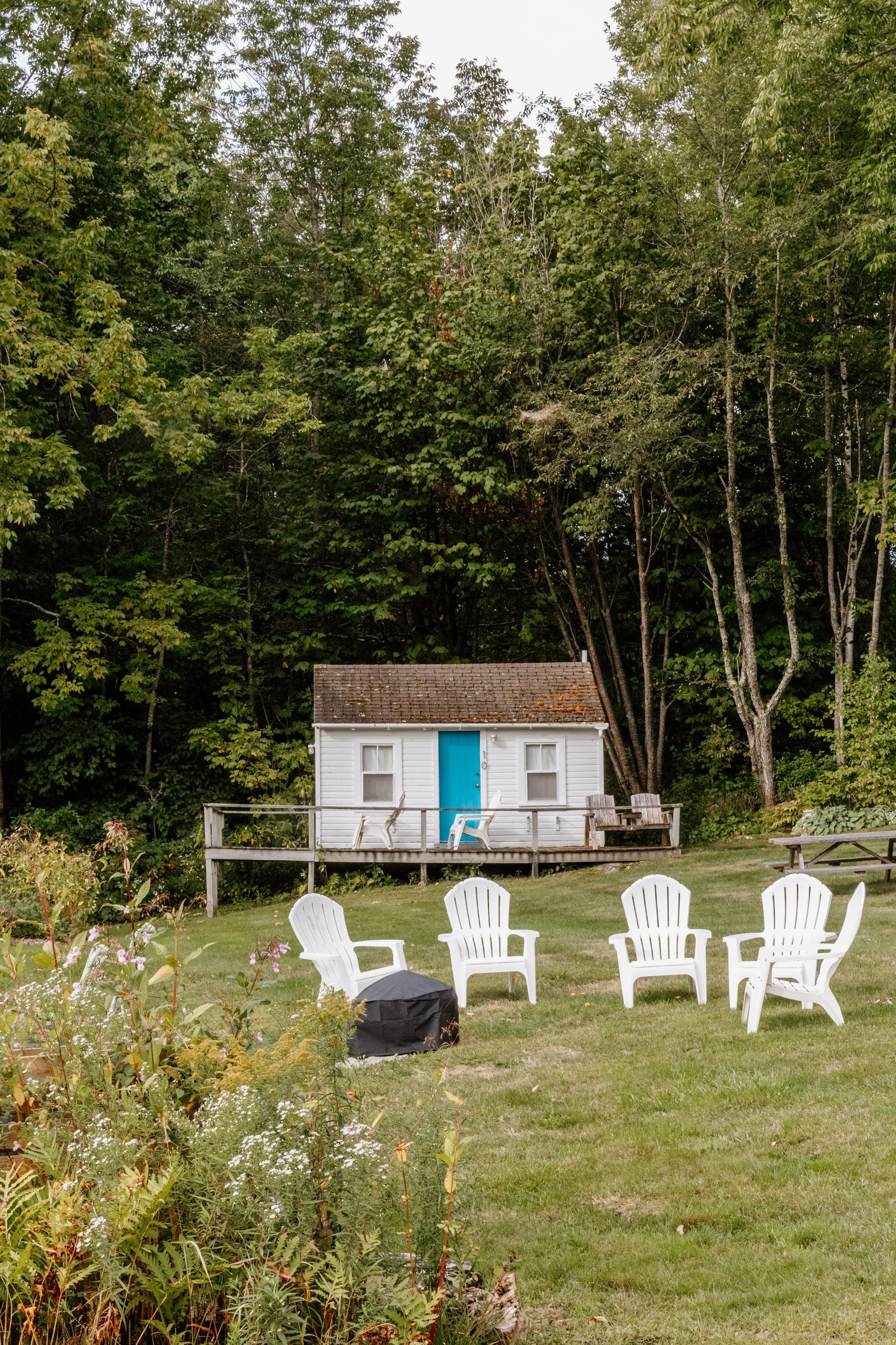 A grassy backyard with four white lawn chairs arranged in a semicircle around a small black grill. In the background, there is a white shed with a bright blue door and two windows, and a wooden deck with two chairs. The yard is bordered by trees and 