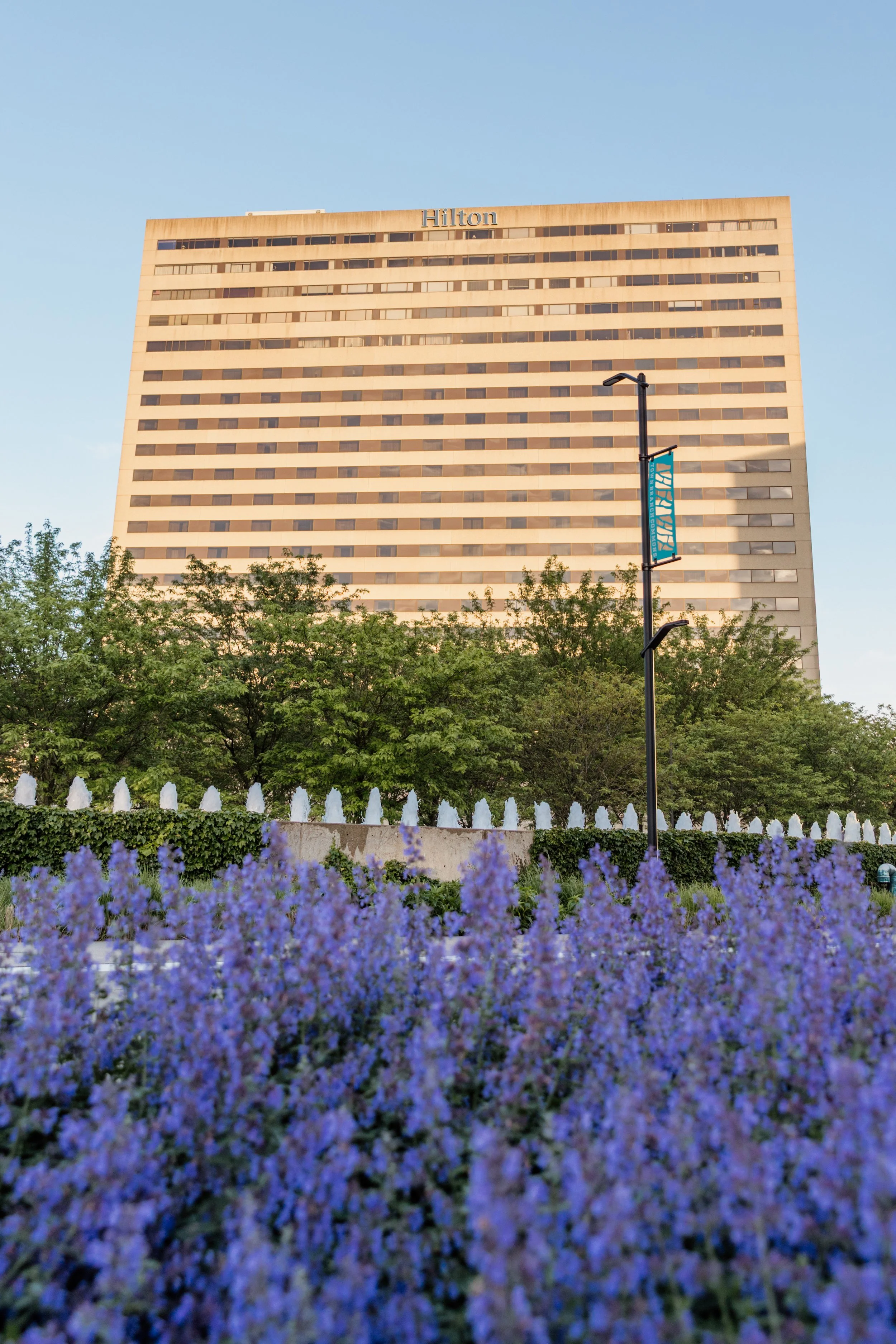 A tall Hilton hotel building with beige and brown exterior, greenery with trees, purple flowers in the foreground, and a blue sky.