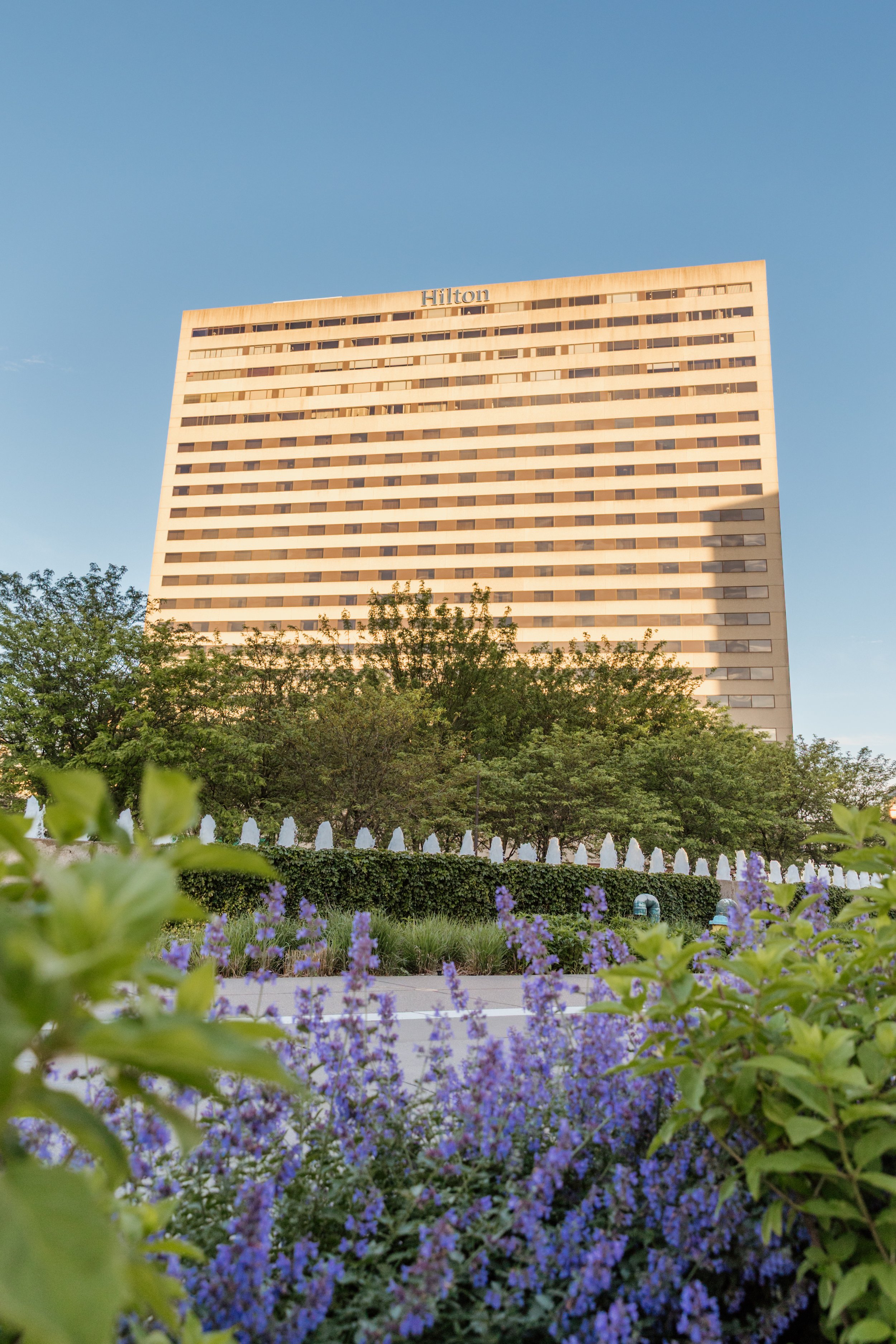 A tall hotel building with the word 'Hilton' at the top, surrounded by trees and purple flowers in the foreground, under a clear blue sky.