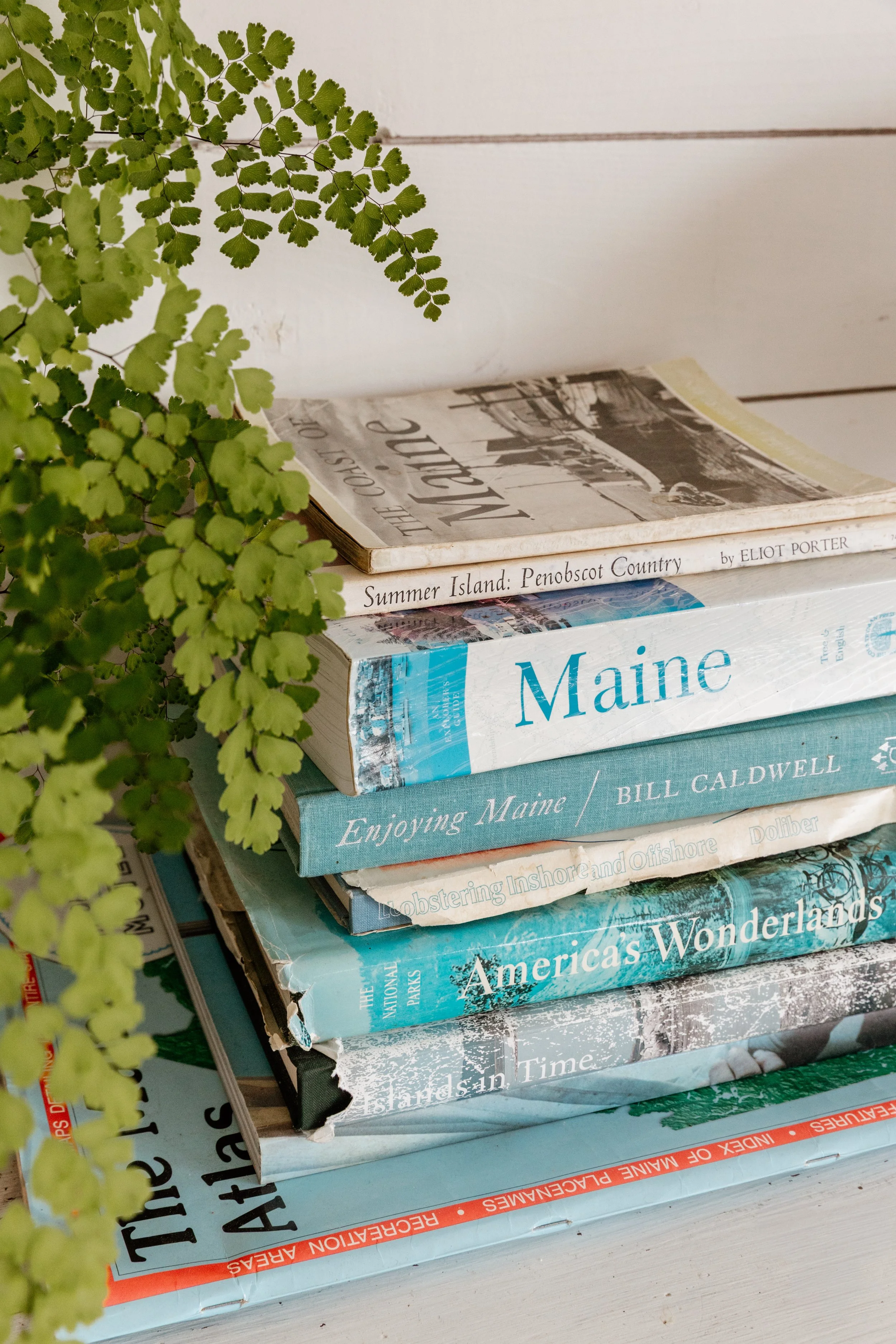 A stack of books about Maine with a green fern plant on the left side.