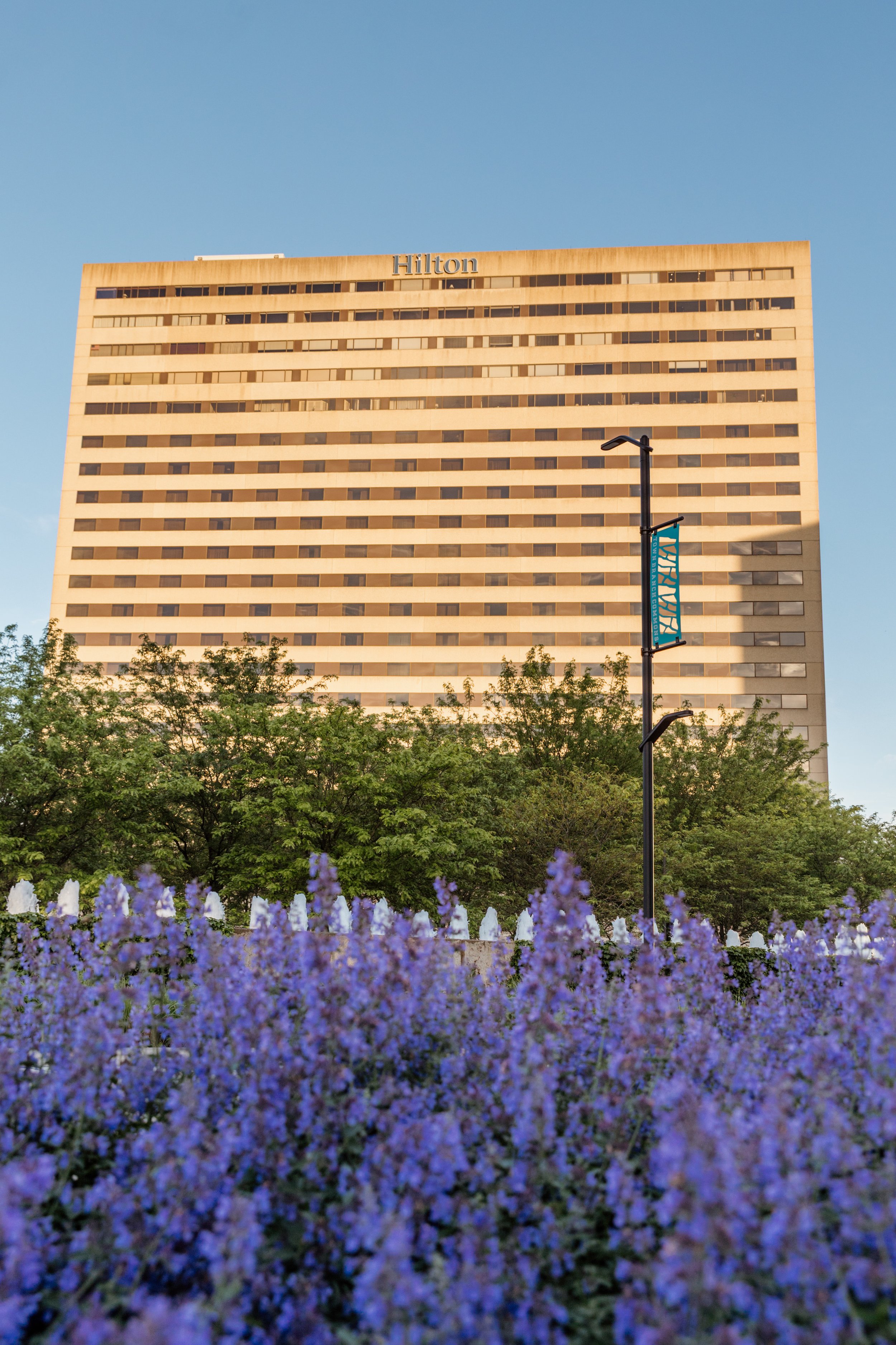 A tall Hilton hotel building with a sign on the top, surrounded by trees and purple flowers in the foreground, under a clear blue sky.