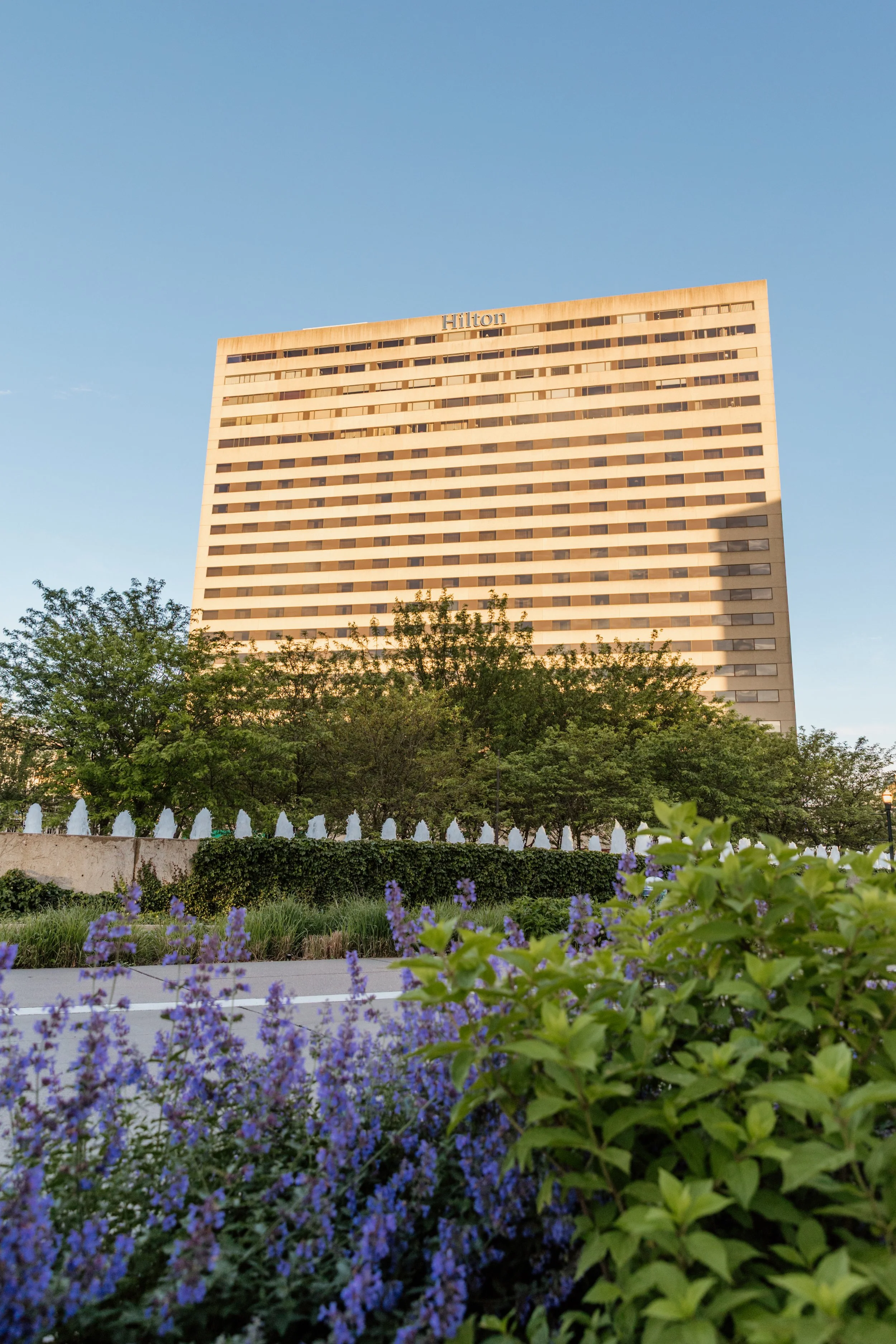 A tall Hilton hotel building with a grid facade, surrounded by trees and a flower bed with purple and green plants, under a clear blue sky.