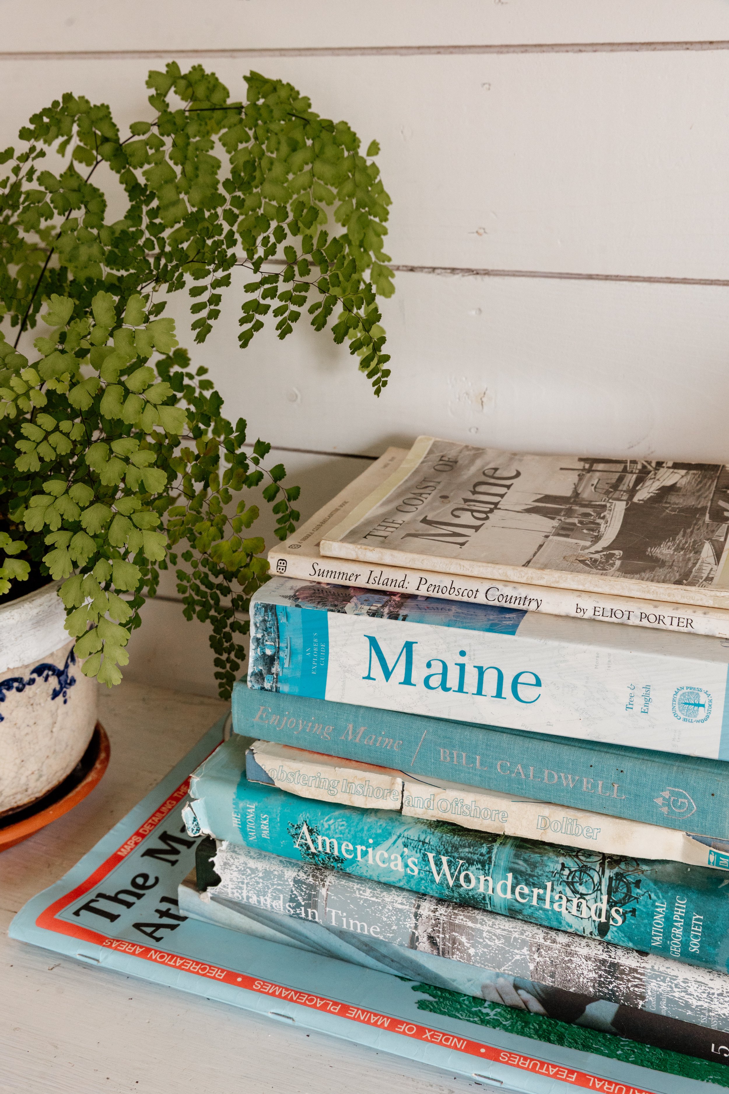 Stack of books on a table with a potted fern plant nearby.