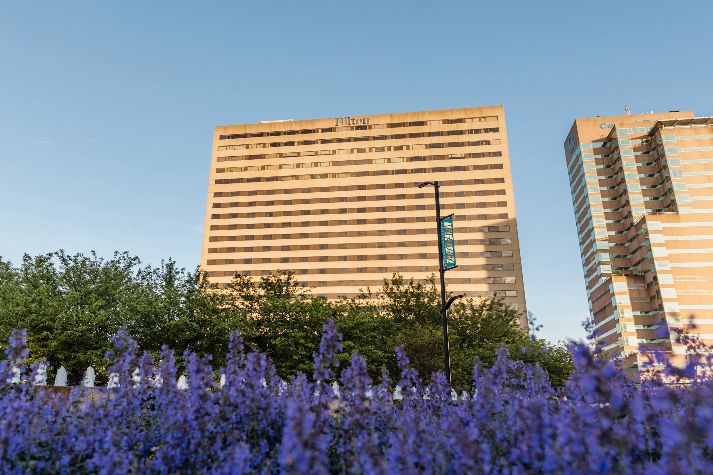 Tall hotel building labeled 'Hilton' against a clear blue sky, with purple flowers in the foreground and green trees behind them.