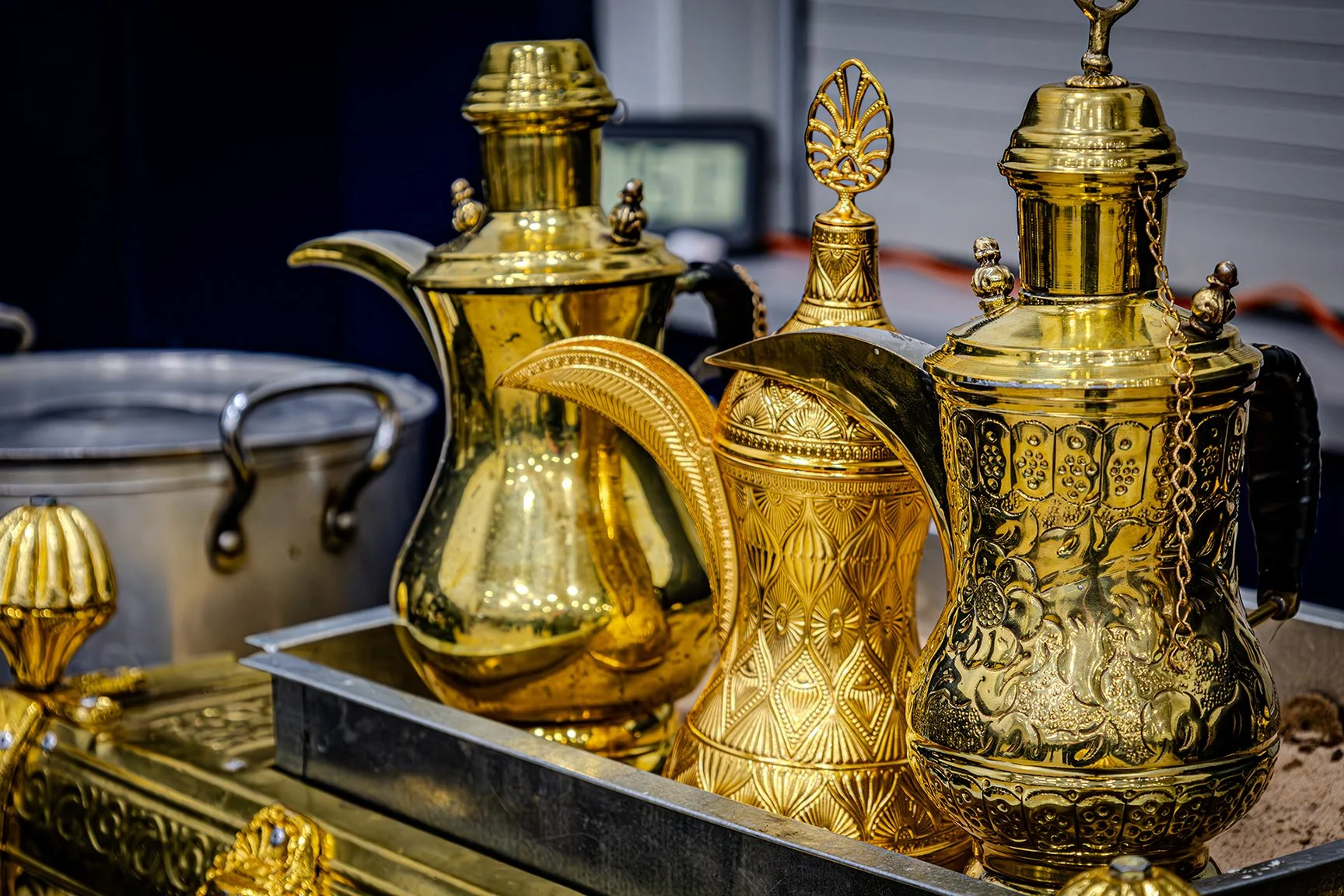 0Z6A6347-Enhanced-NR.jpg