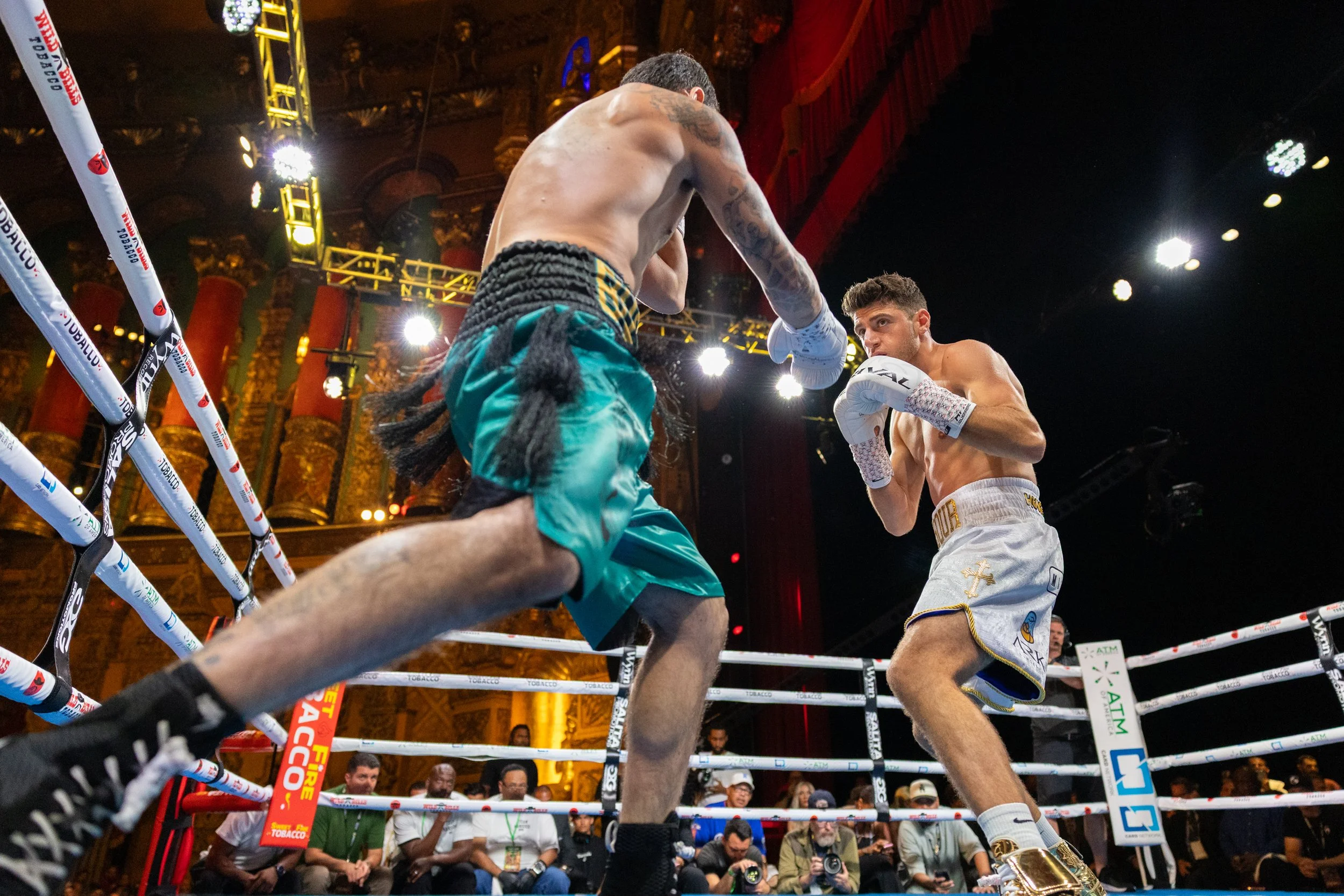 boxing_fox_0829.jpg