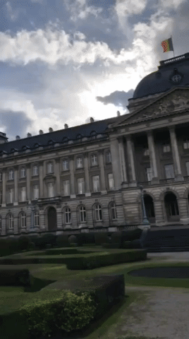 giphy (1).gif