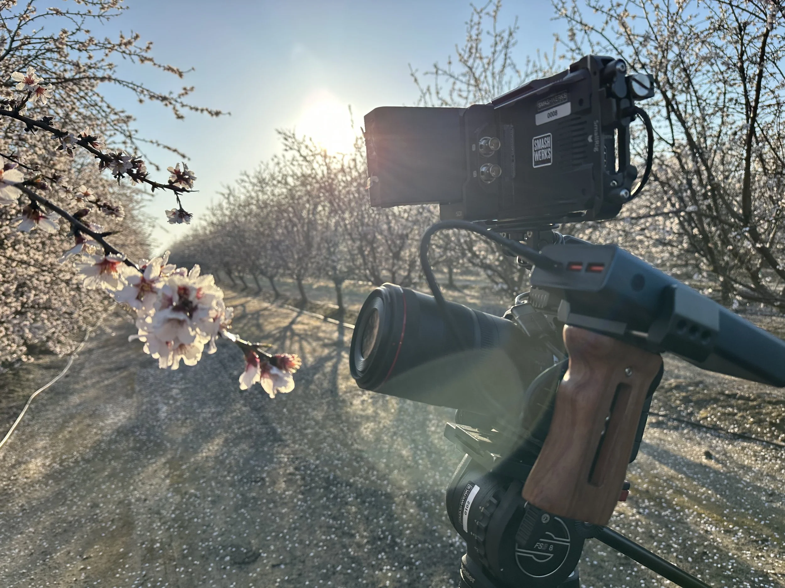 Unveiling California's Hidden Treasures: A Journey Through Travel Documentaries