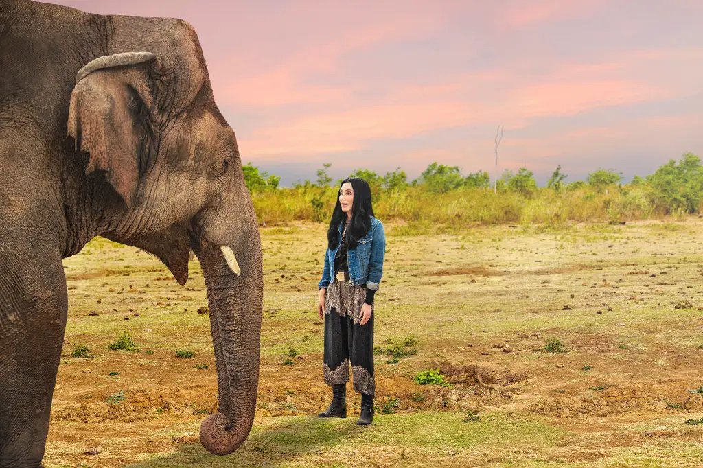 cher-and-the-loneliest-elephant-07.jpeg