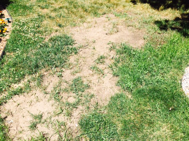 Grass resistant soil?