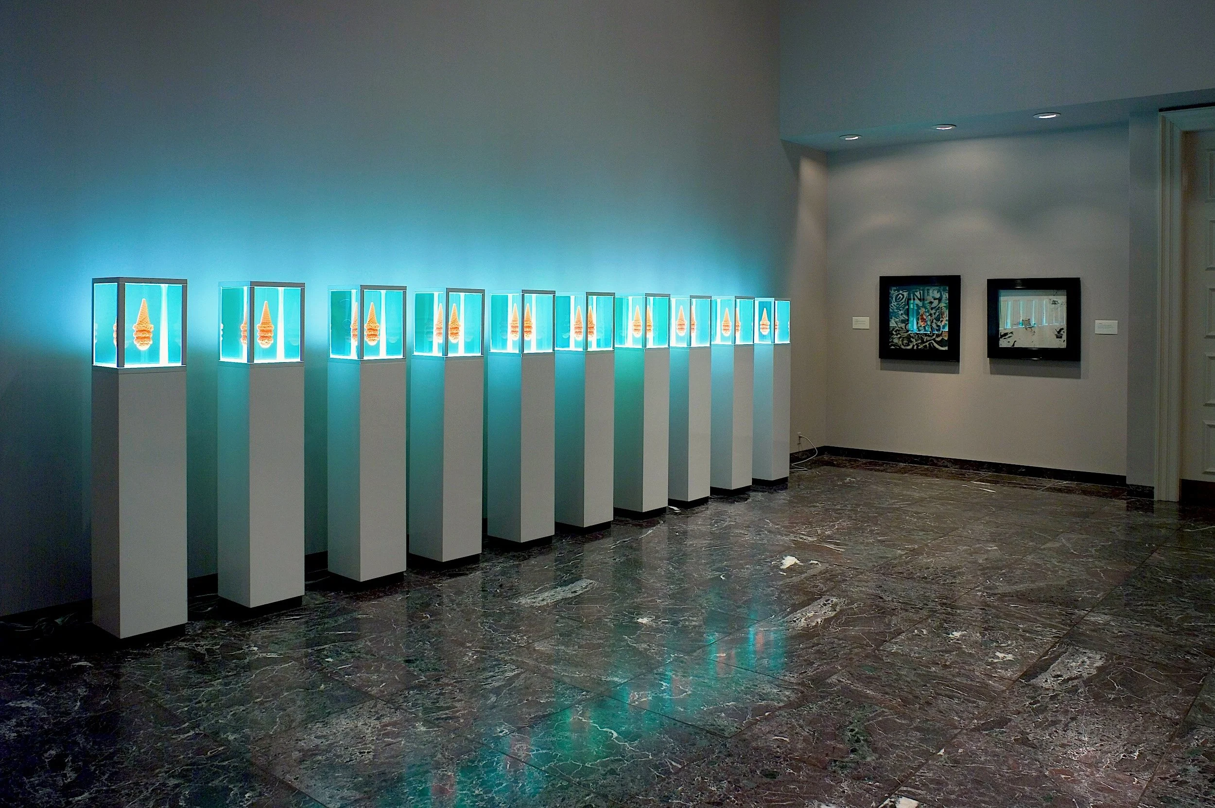  Installation view of  An Abstract Alphabet: New Works by Stephen T. Johnson , Spencer Museum of Art, 2007. 