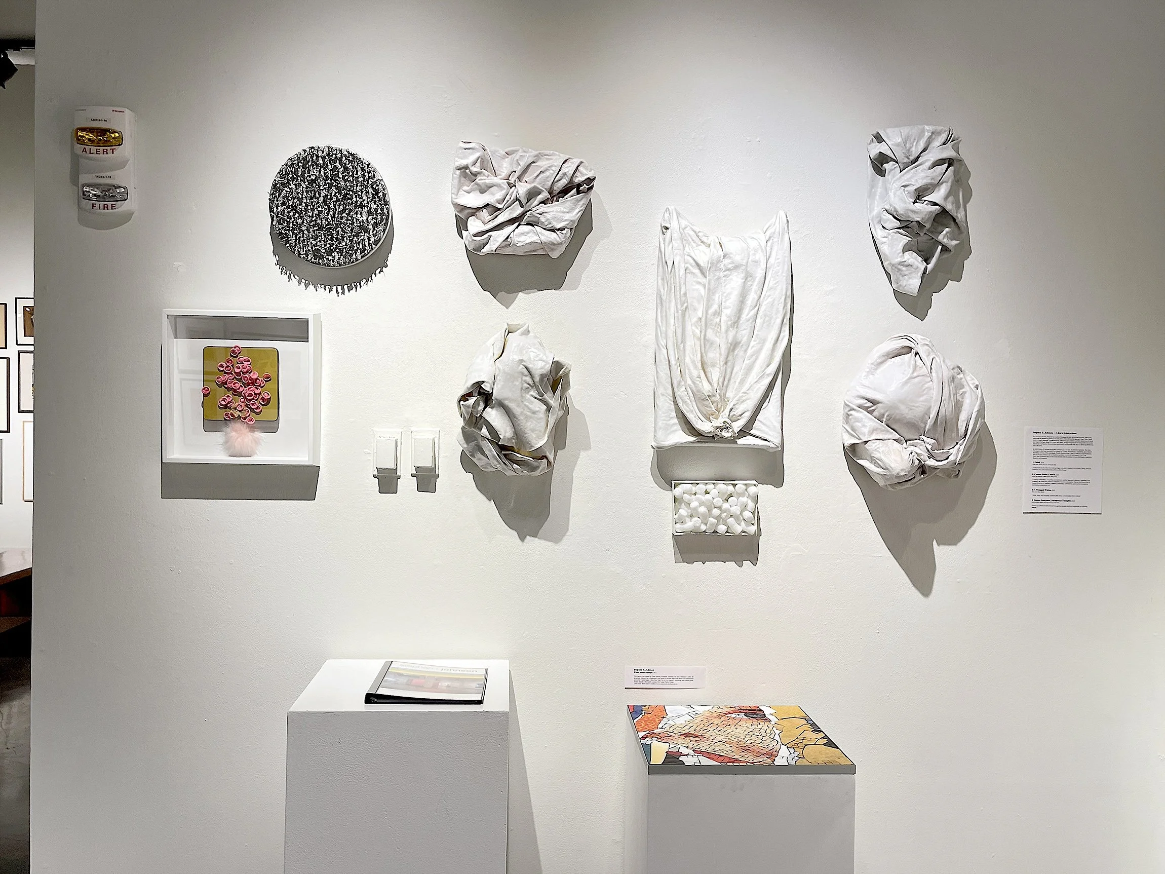   Literal Abstractions  by Stephen T. Johnson in  Transformations: From Art School to Art World , University of Kansas, 2025. 