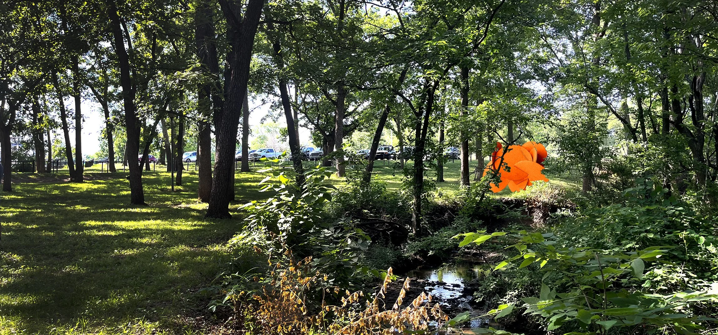 Discoidal Gestures:landscape.jpg