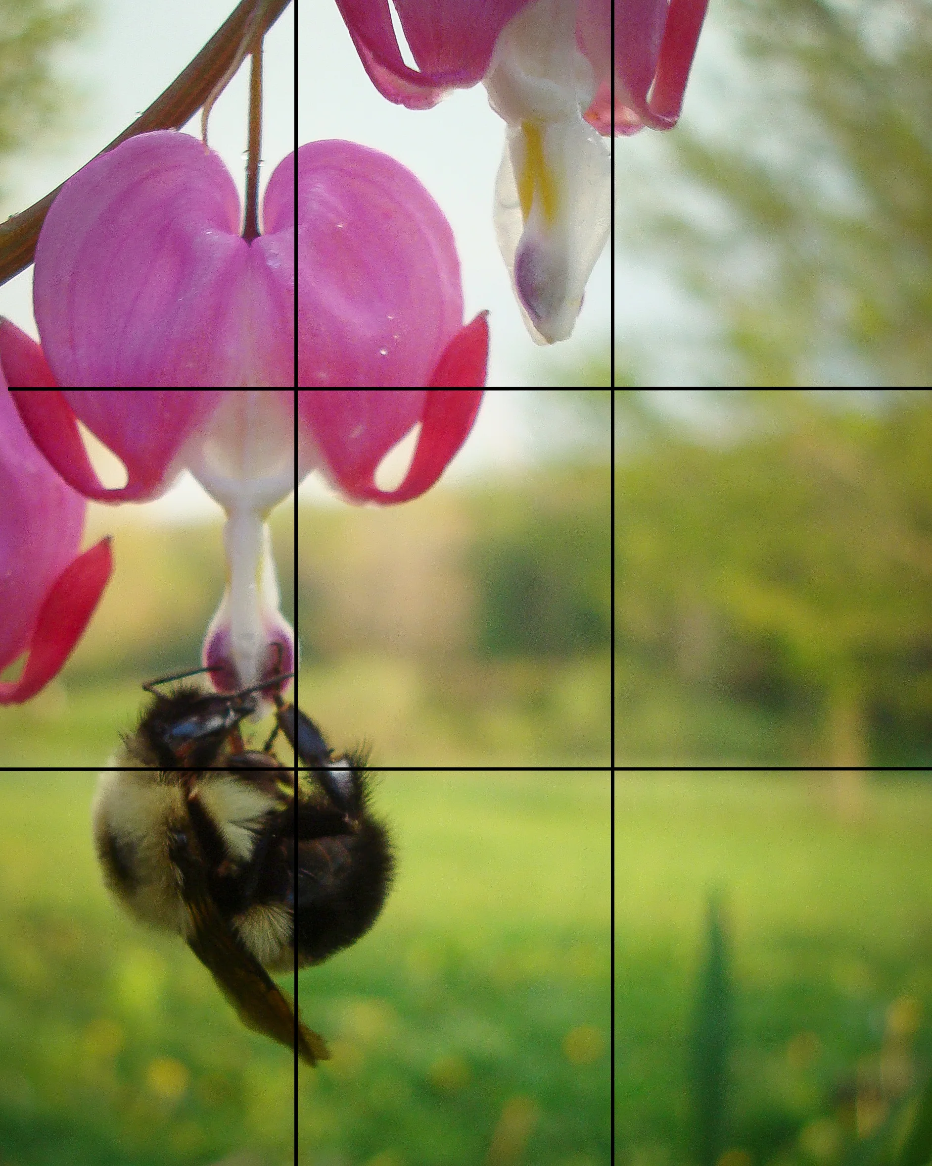 How To Take Professional Photos With Your Phone Anna Mcnaught You must be wondering how to take the best photos on your cell phone and we will teach you in this post! how to take professional photos with